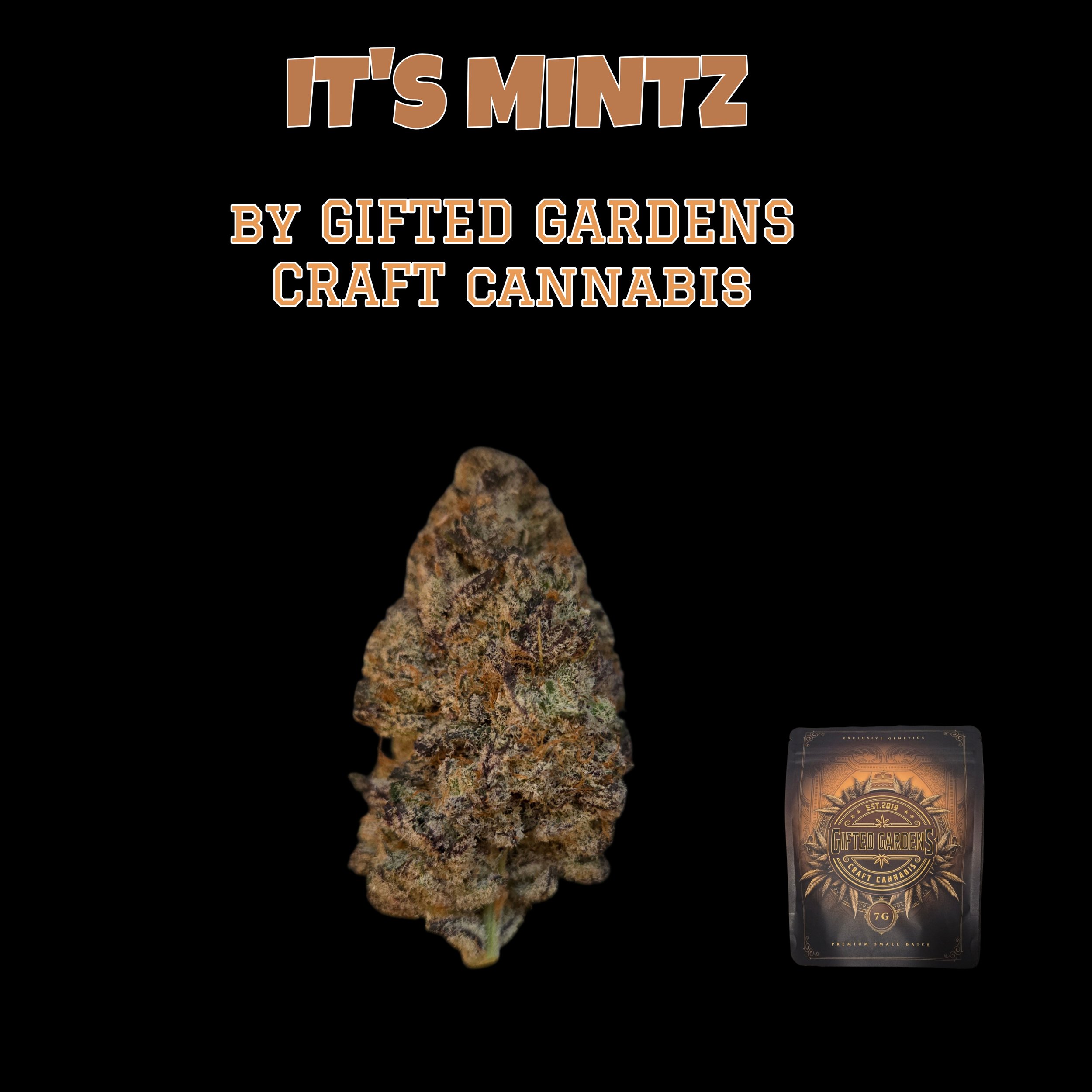 IT'S MINTZ - GIFTED GARDENS🎁