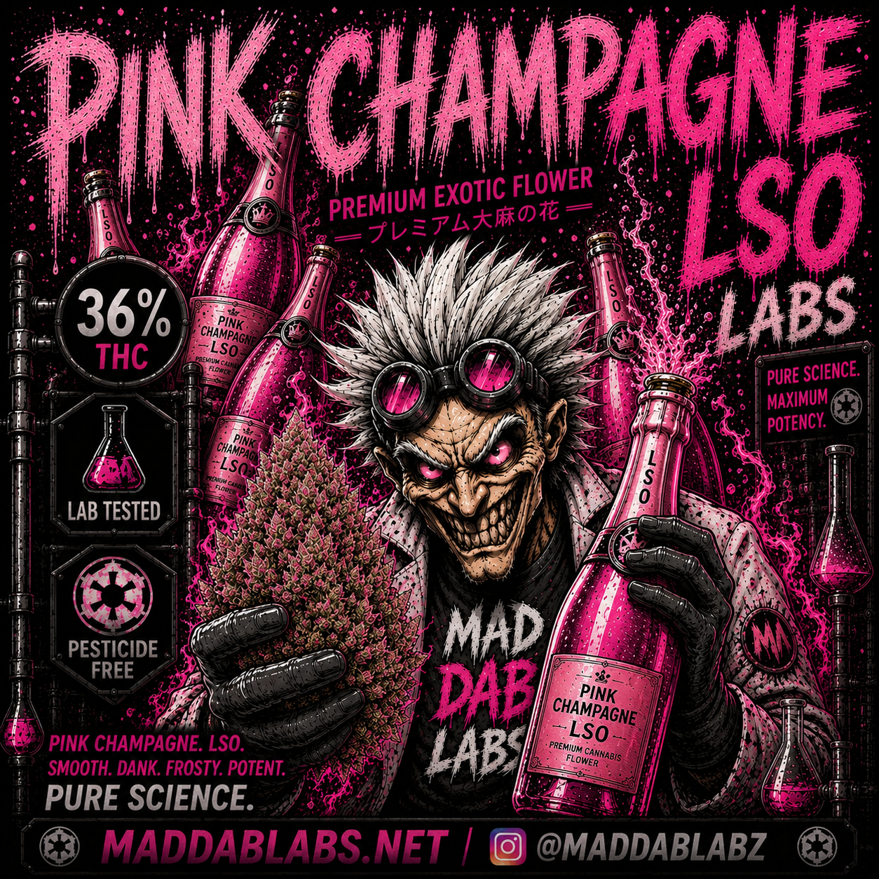 PINK CHAMPAGNE LSO🔥🔥🔥🔥🔥