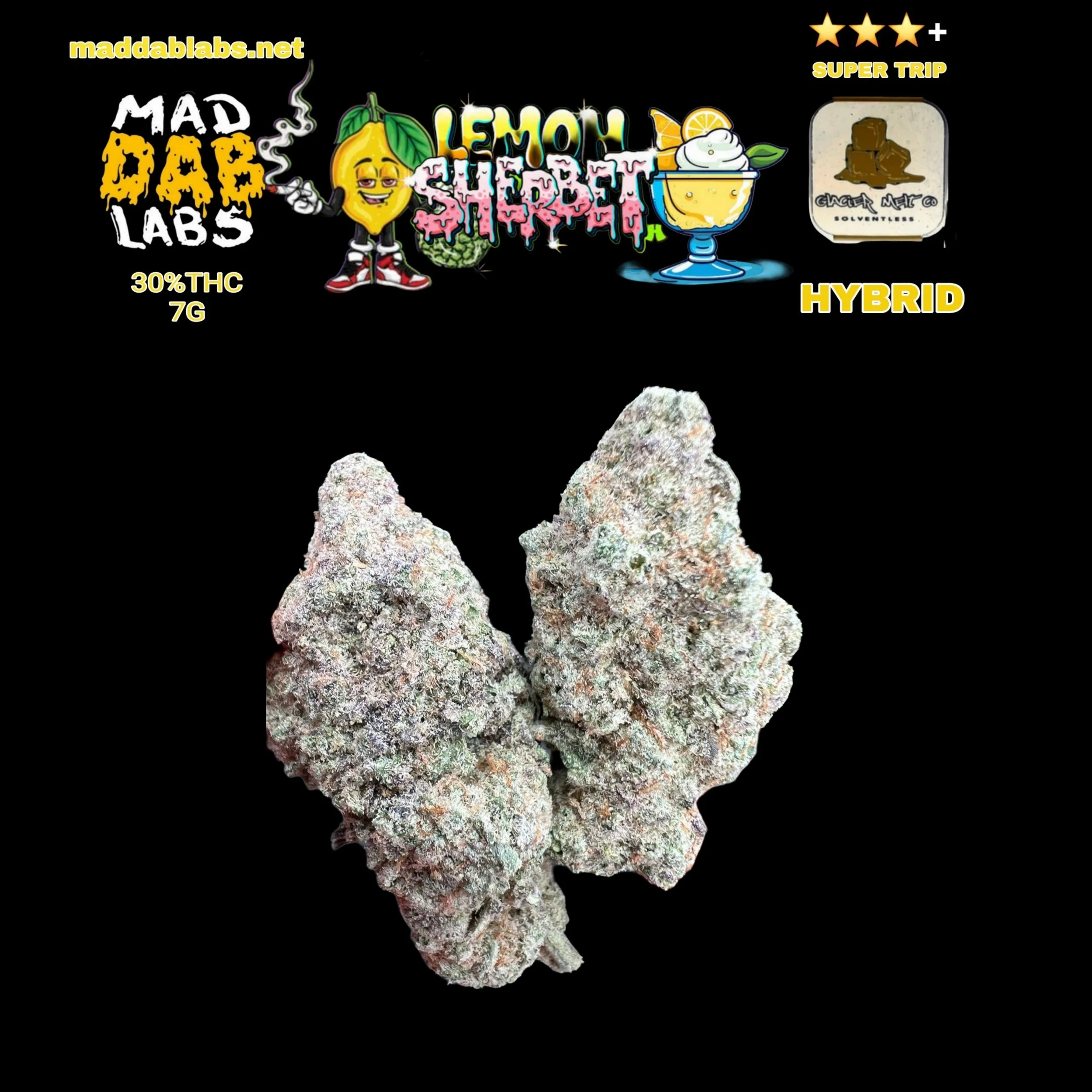 LEMON SHERBET - GROWN BY GLACIER MELTS🔥🔥🔥🔥🔥