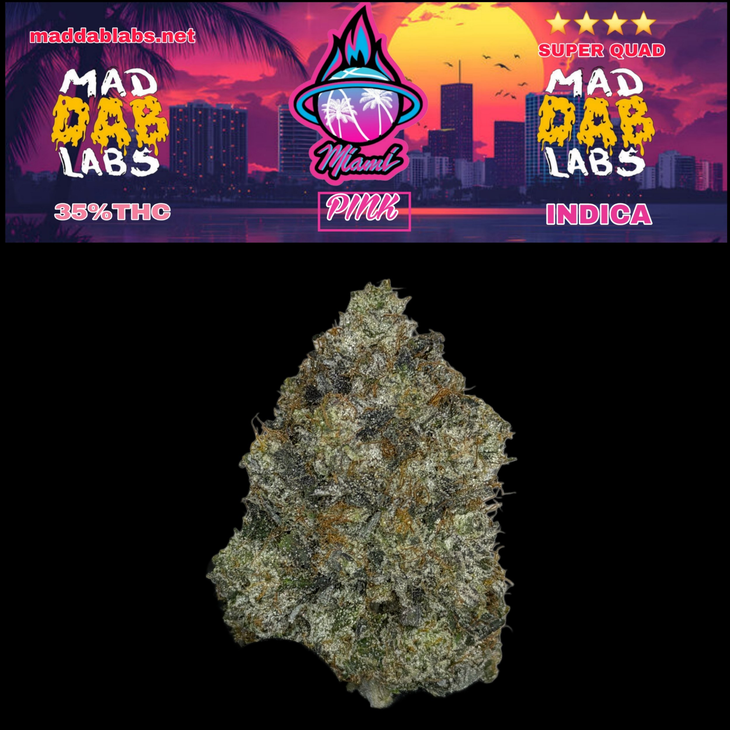 MIAMI PINK - GROWN BY MAD DAB LABS🔥🔥🔥🔥🔥