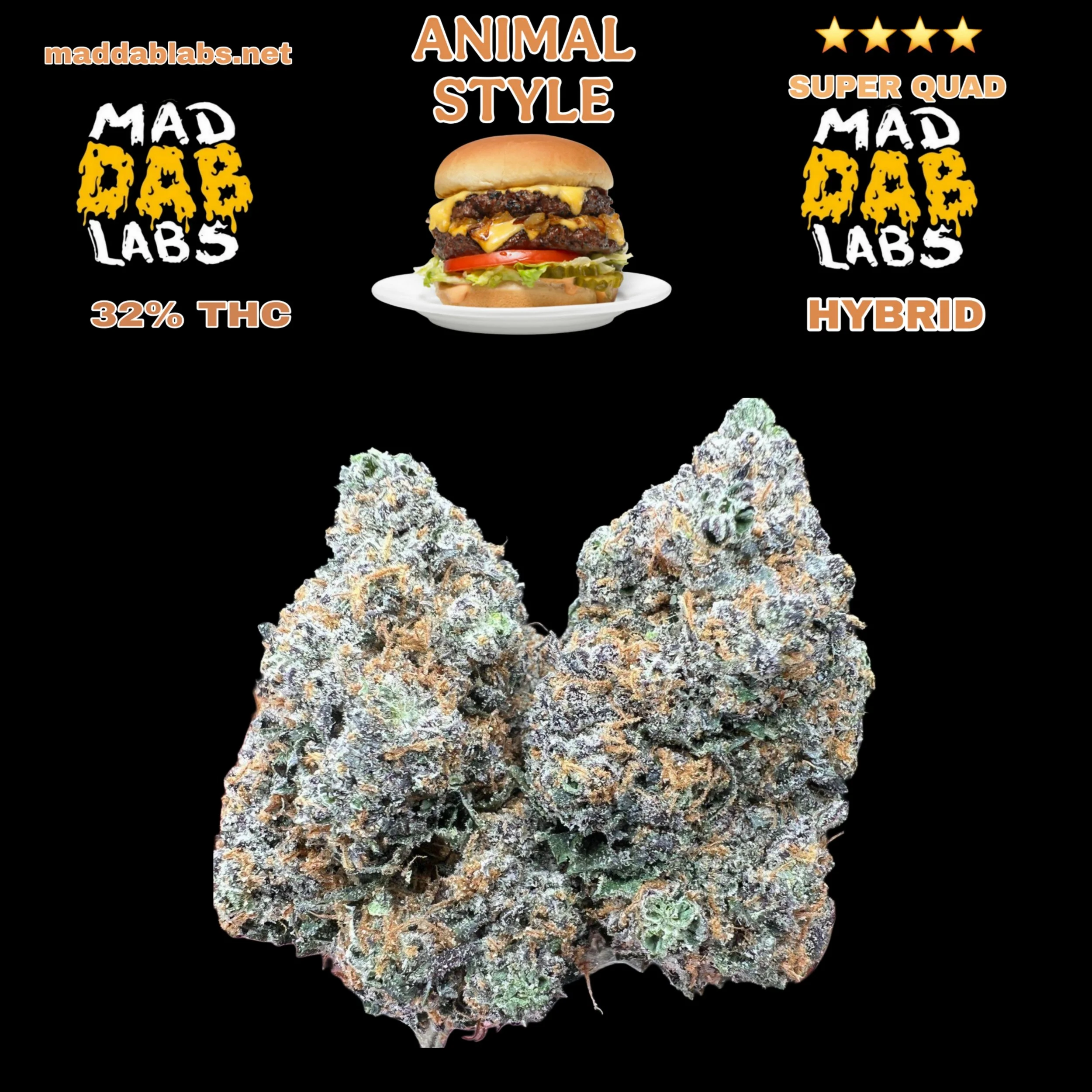 ANIMAL STYLE - HYBRID🔥🔥🔥🔥🔥