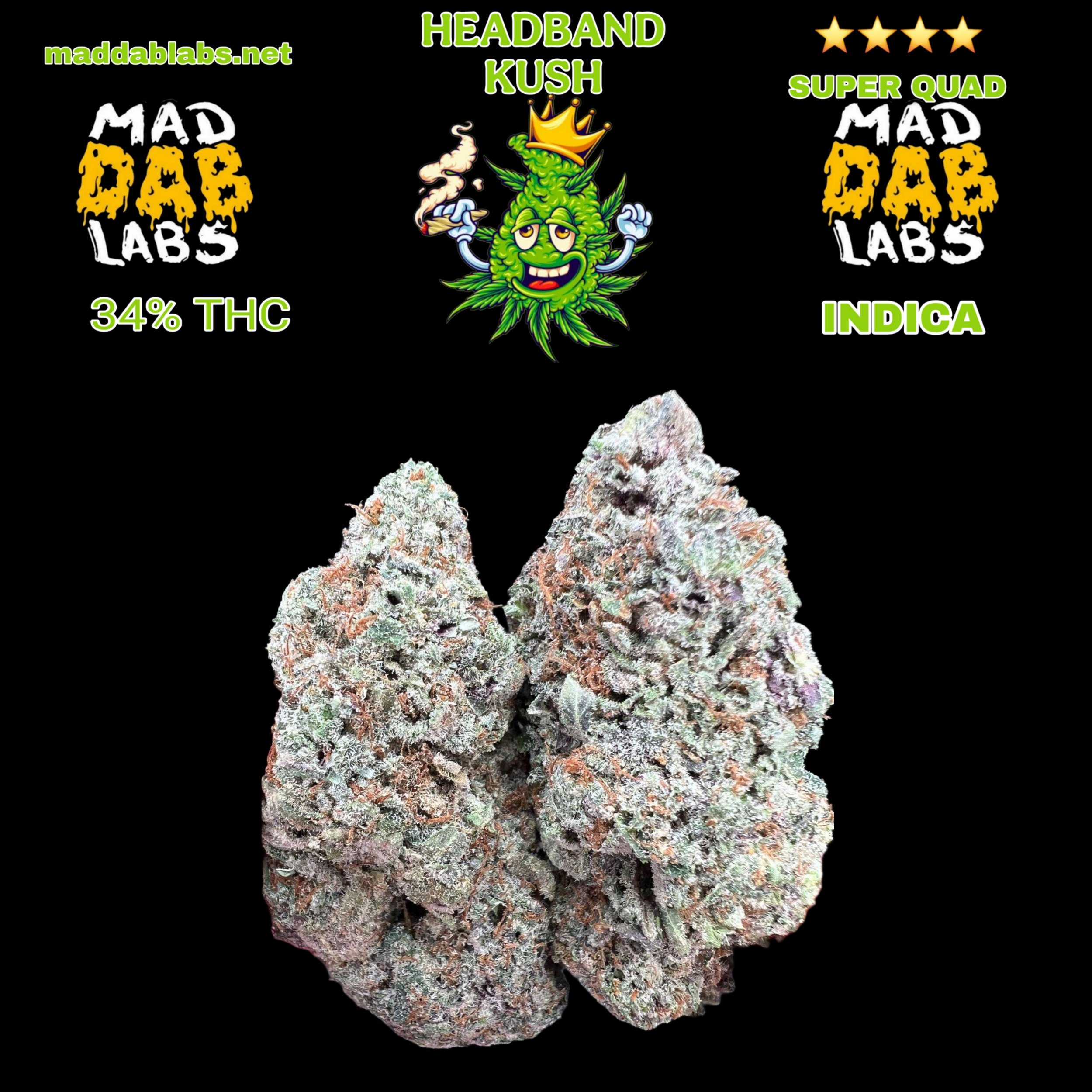 HEADBAND - INDICA🔥🔥🔥🔥🔥