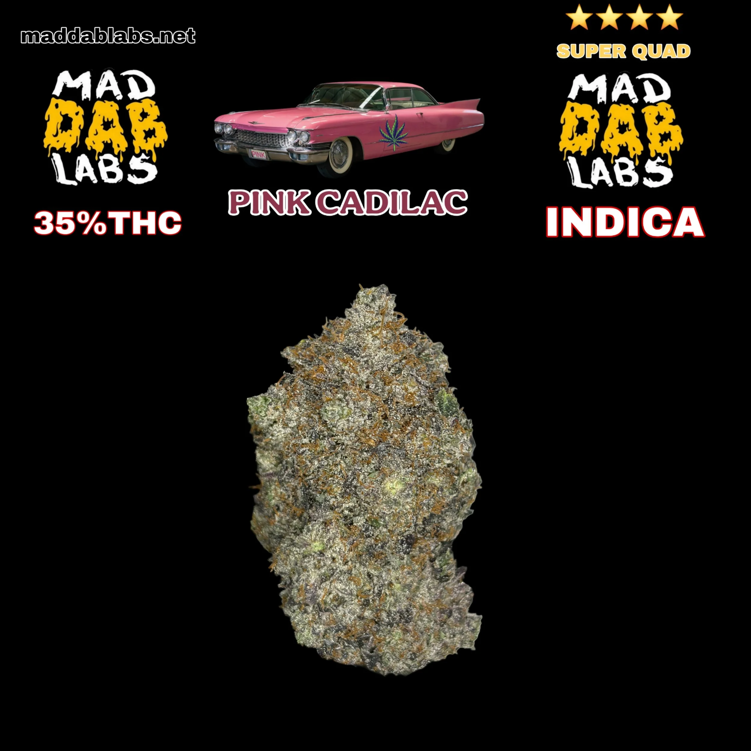 PINK CADILAC- GROWN BY MAD DAB LABS🔥🔥🔥🔥🔥