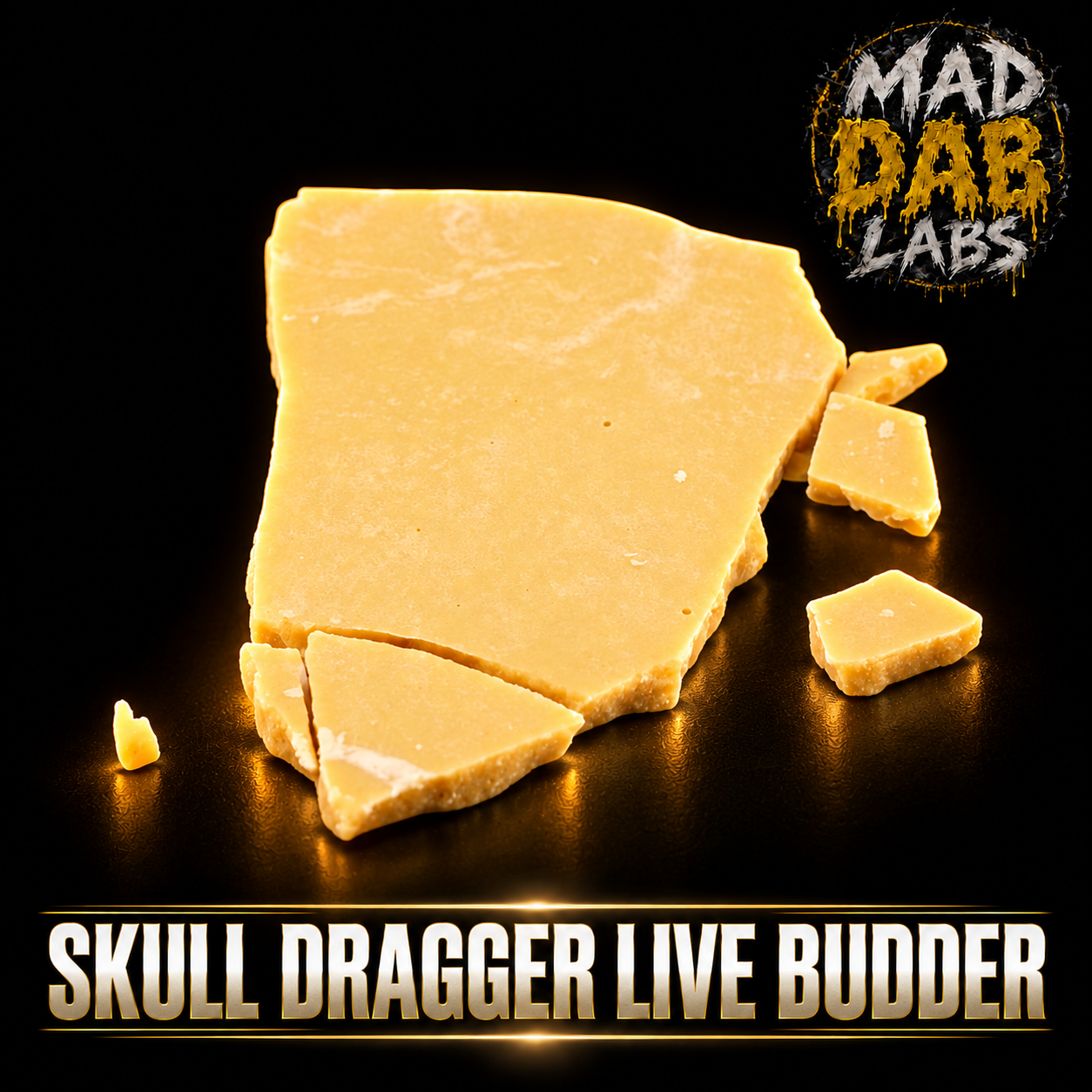 SCULL DRAGGER LIVE BUDDER🔥🔥🔥🔥🔥