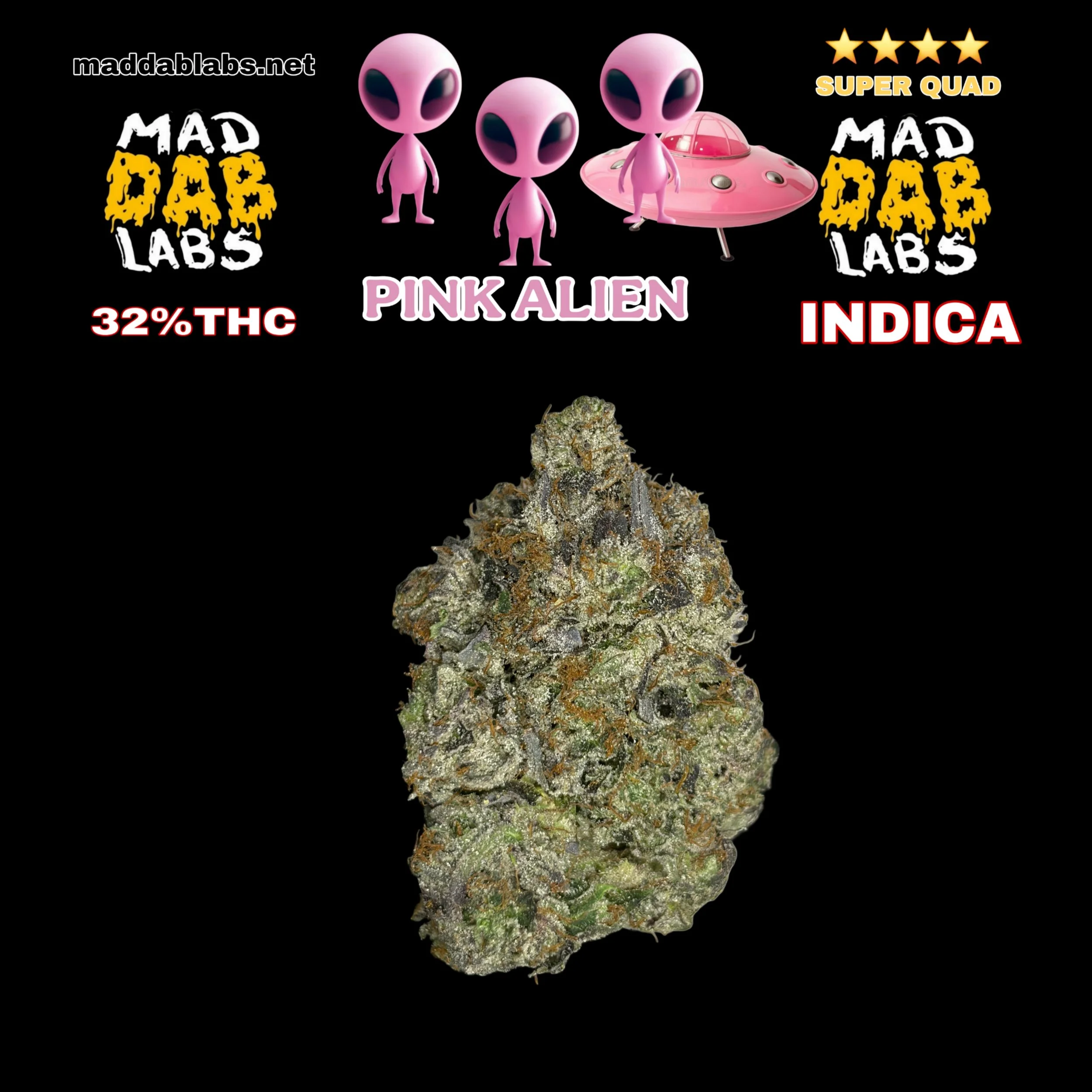 PINK ALIEN- GROWN BY MAD DAB LABS🔥🔥🔥🔥🔥