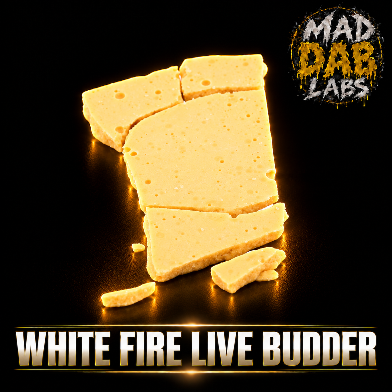 WHITE FIRE LIVE BUDDER🔥🔥🔥🔥🔥