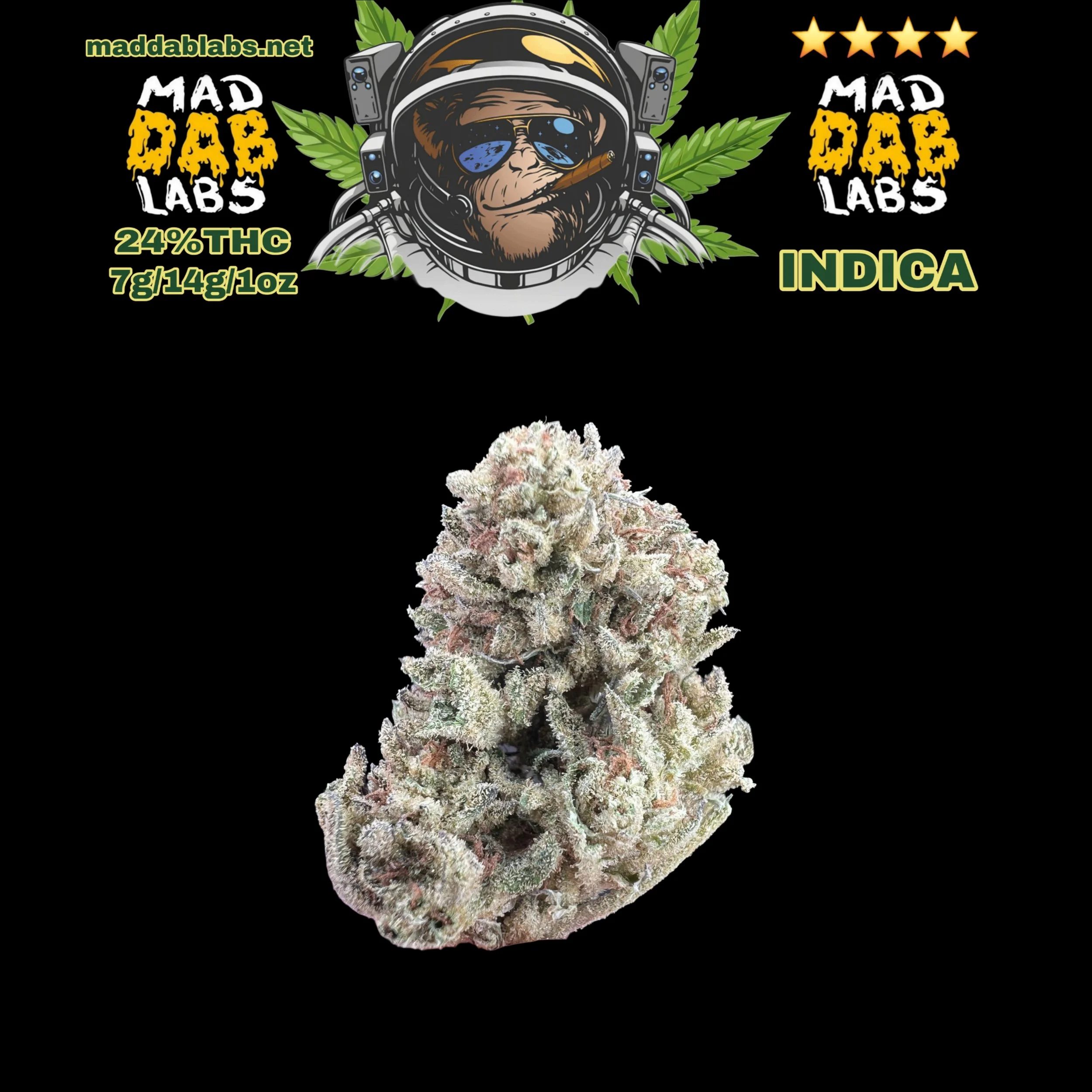 SPACE MONKEY - INDICA🔥🔥🔥🔥🔥 ...