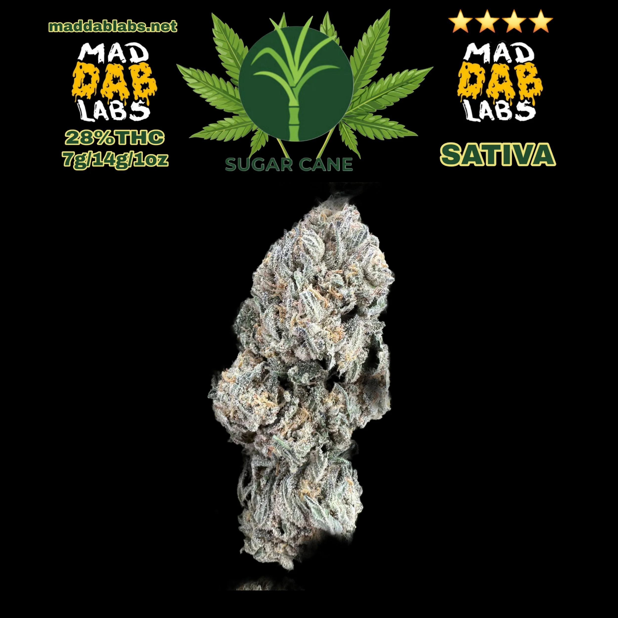 SUGARCANE - SATIVA🔥🔥🔥🔥🔥