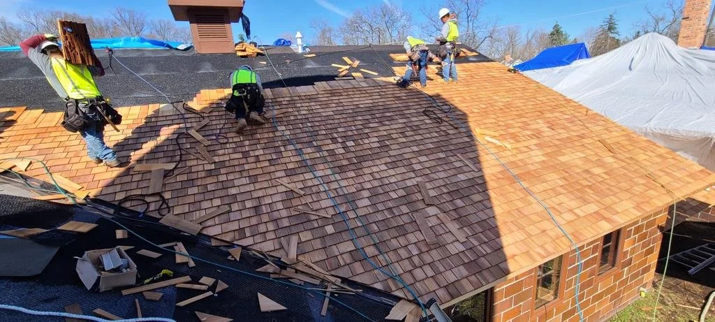 WhatsApp Image 2023-08-29 at 2.07.59 PM.jpeg