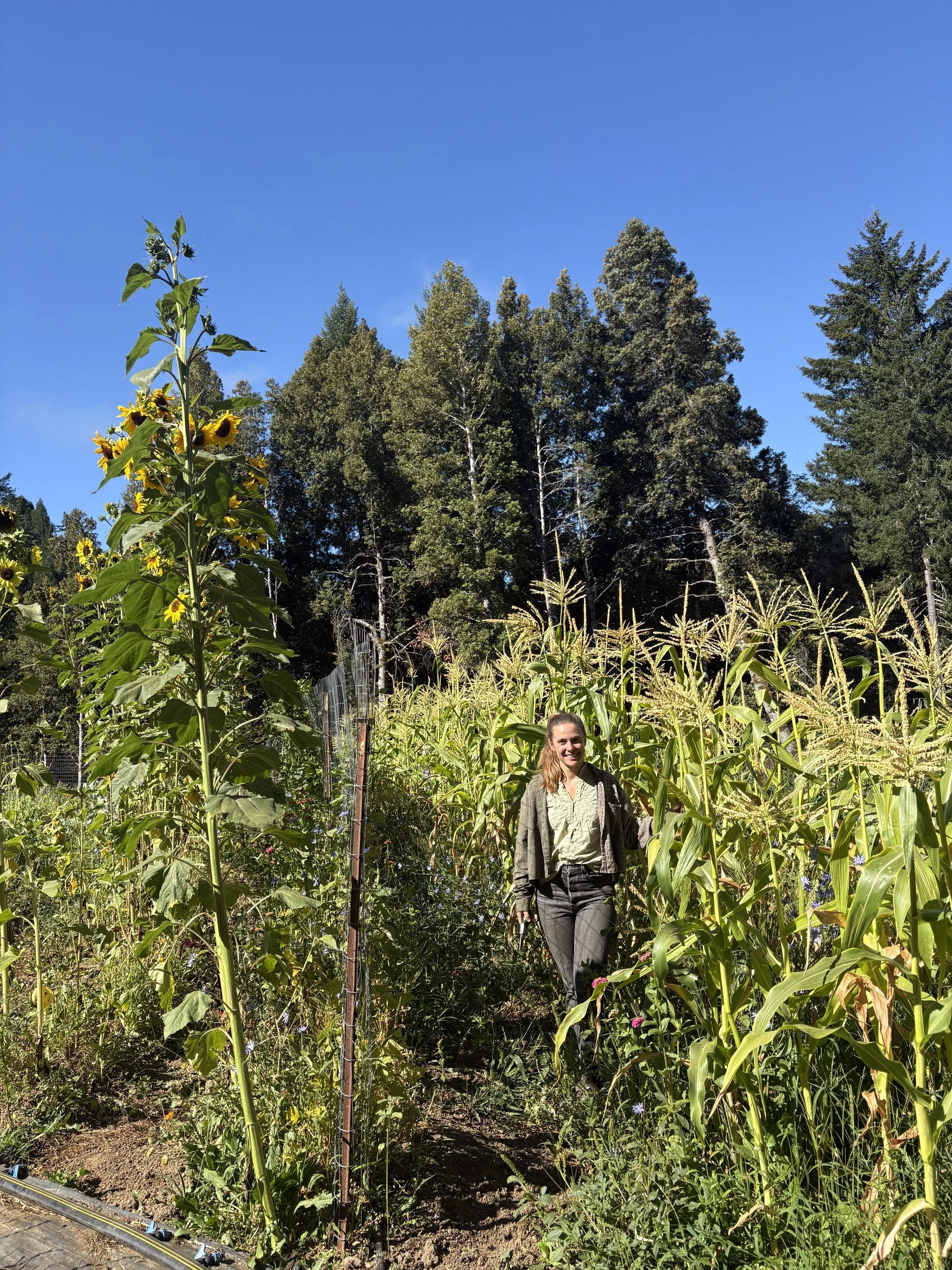 A Project With No End: Creative Liberation Through Homesteading