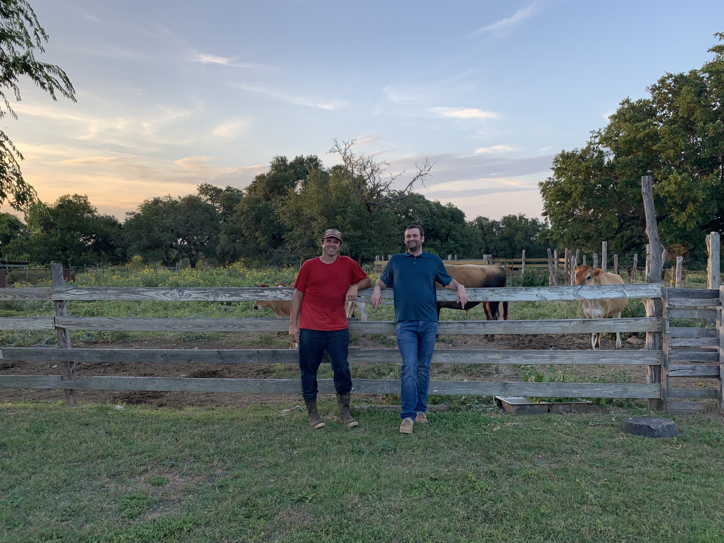 Two men standing in front of a wooden fence on a farm, with a cow and a calf behind them and trees in the background during sunset.