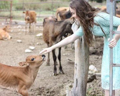 Young woman feeding a small calf at a farm with other animals in the background.