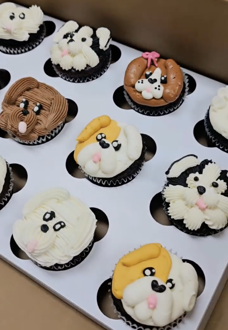 Screenshot 2026-02-20 at 5.46.59 PM.png