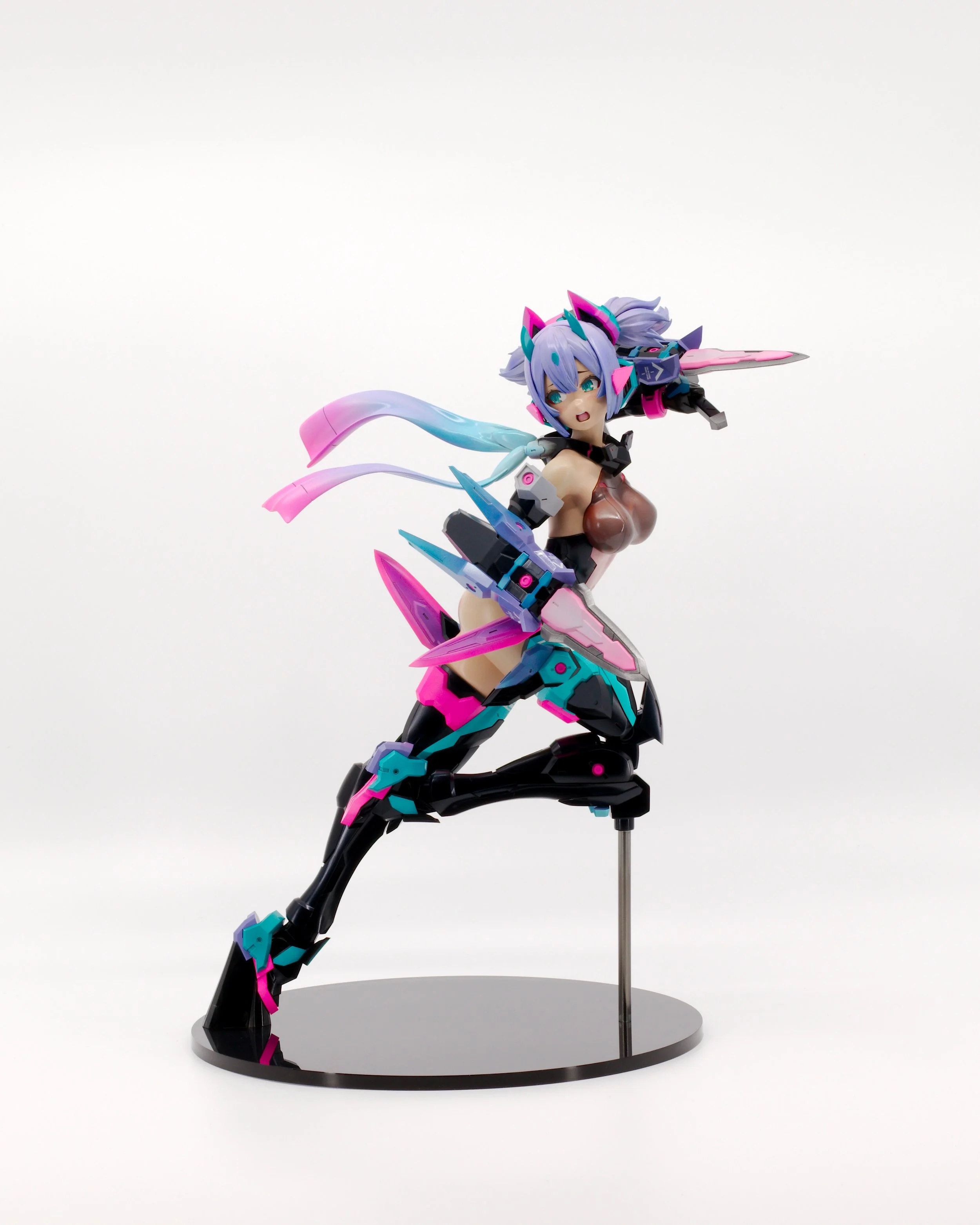 Asra Ninja (3).jpg