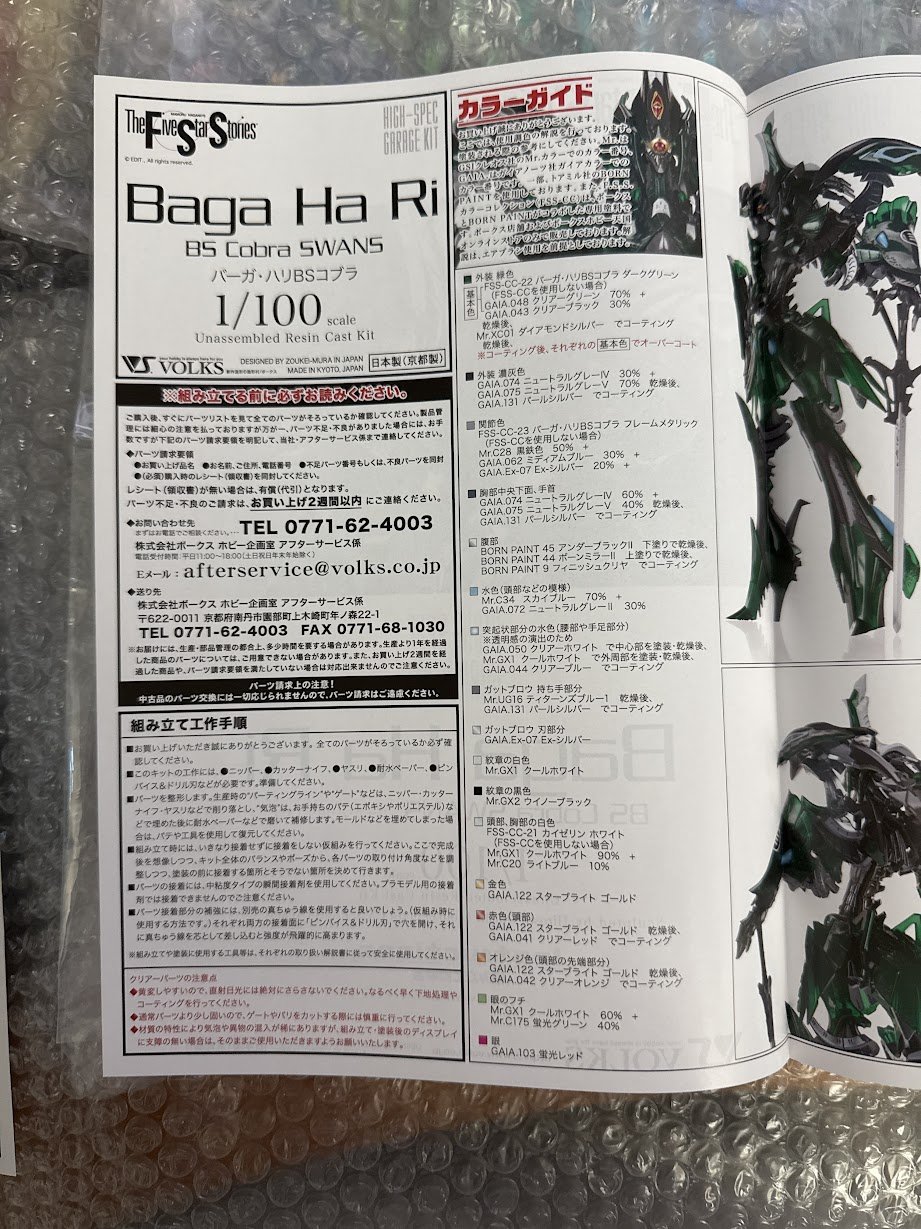 Volks FSS 1/100 Baga Color Guide