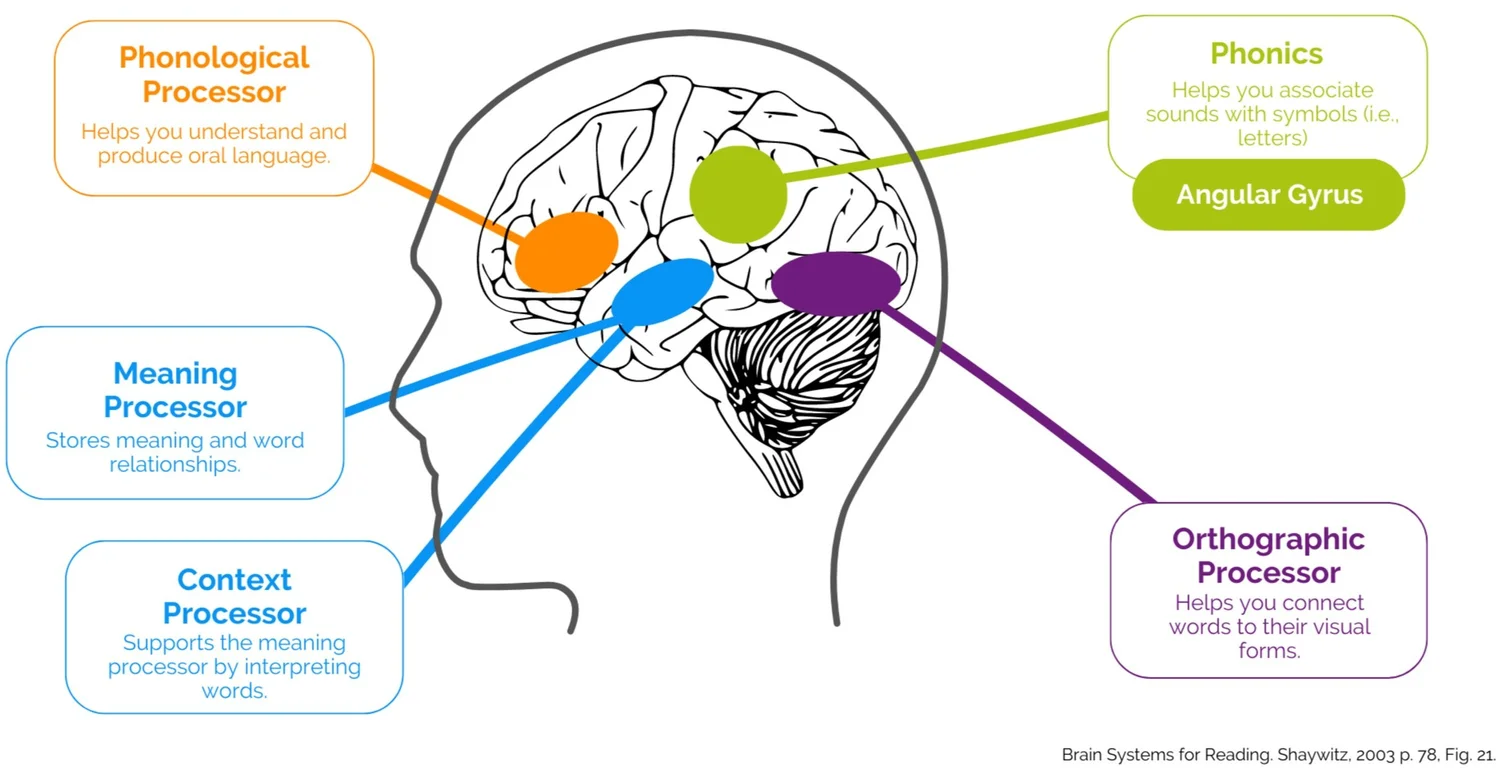 Science of Reading Literacy in Action by TX Reads