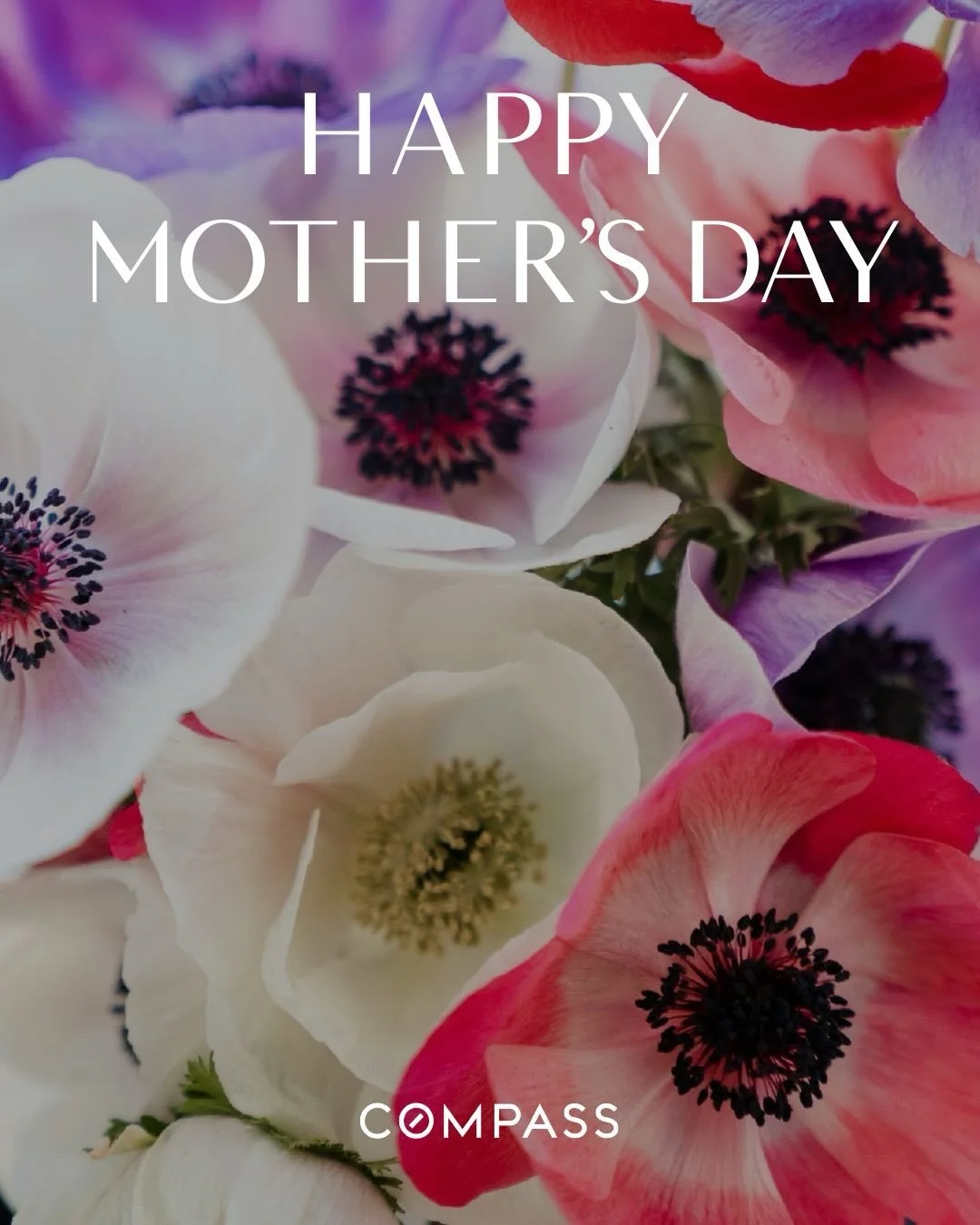 Happy Mother&rsquo;s Day 🤍

Today we celebrate the women who make a house feel like home. The ones who create comfort, give endlessly, and fill every space with love. Whether it&rsquo;s cheering on big milestones or being there for the quiet, everyd