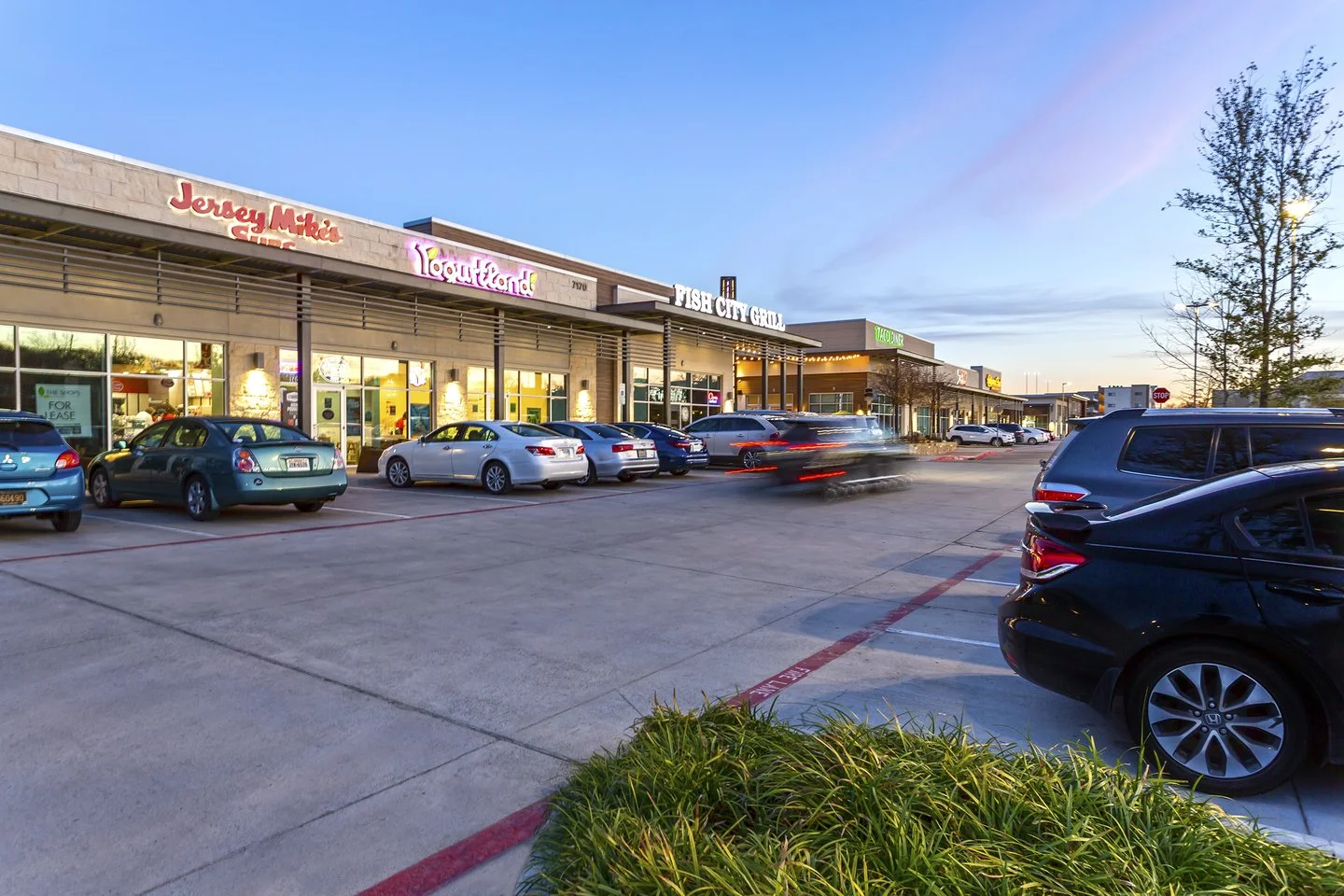 lh center 2.jpg