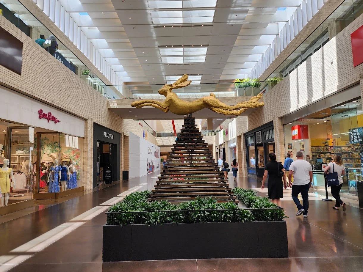 np center 4.jpg