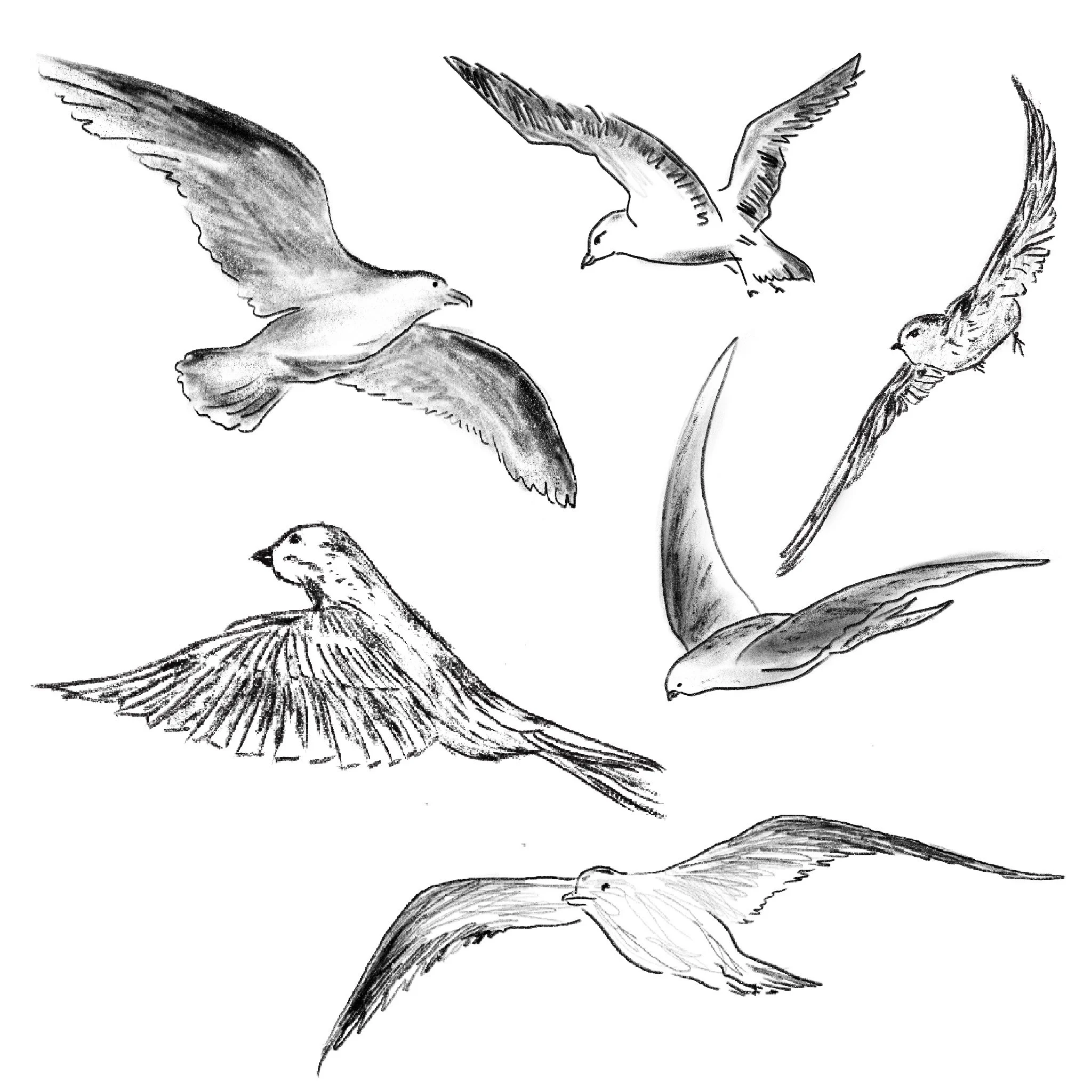 Untitled_Artwork 69.jpg