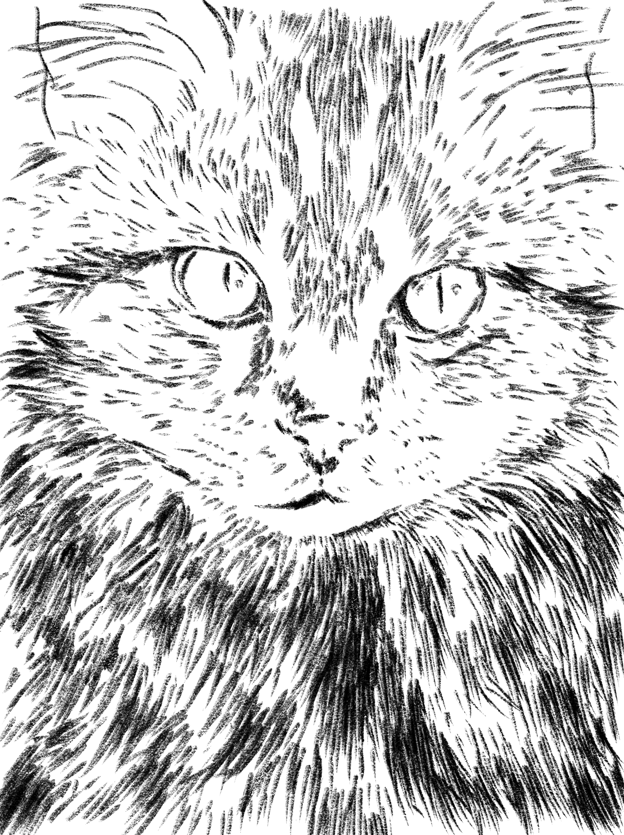 Untitled_Artwork 28.png