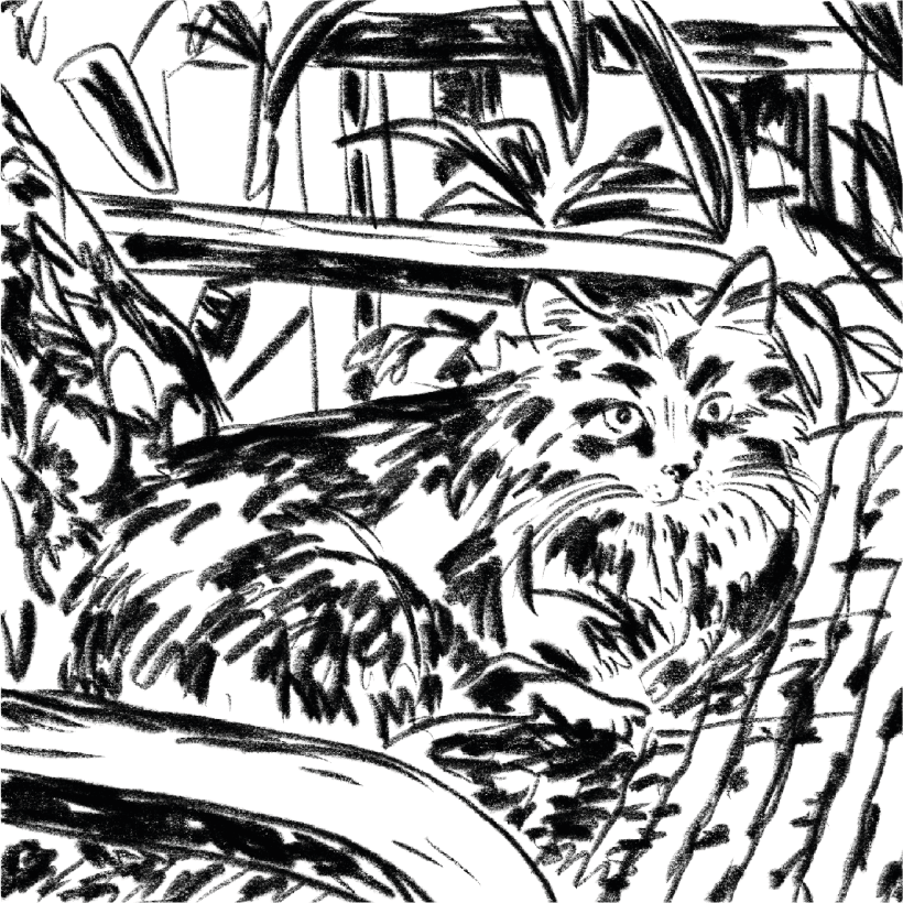 Çalışma Yüzeyi 26.png