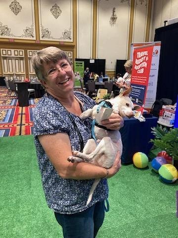 shared image (5).jpeg