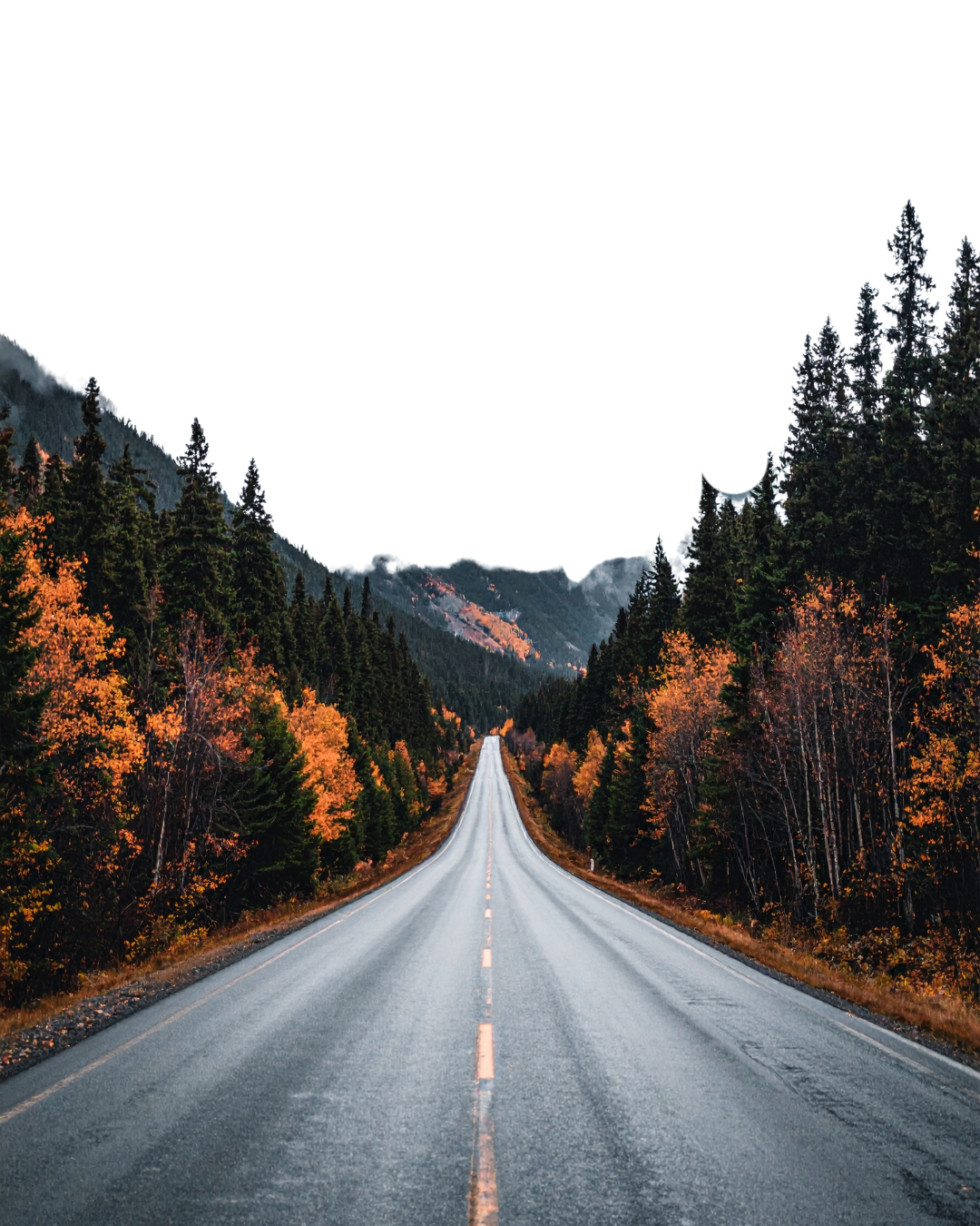 The 50 Mile Rule? Exposing the Truth About This Industry Myth!