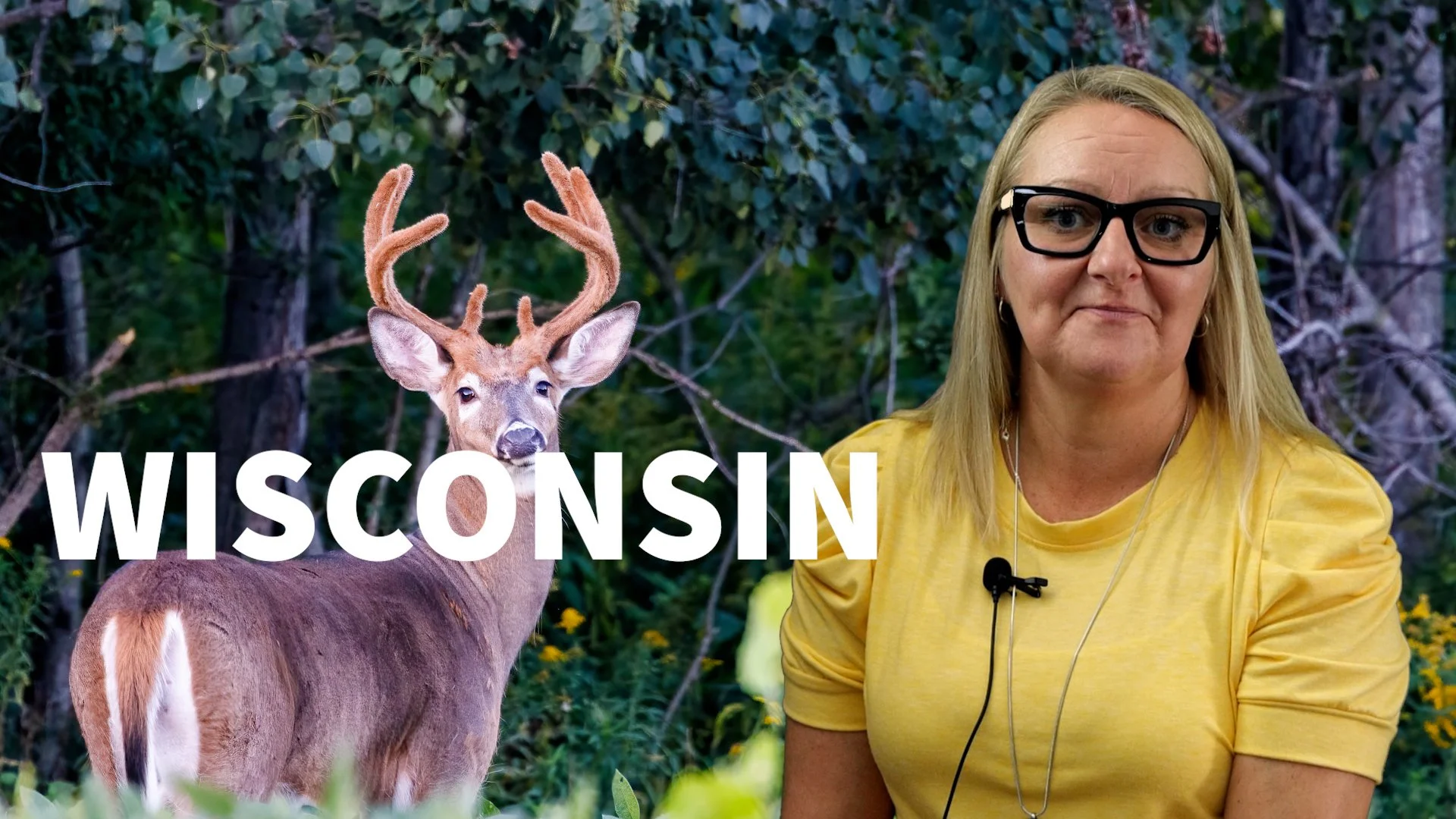 Wisconsin thumbnail.jpg