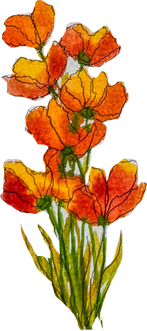 A watercolor-style illustration of orange and yellow flowers with green stems.