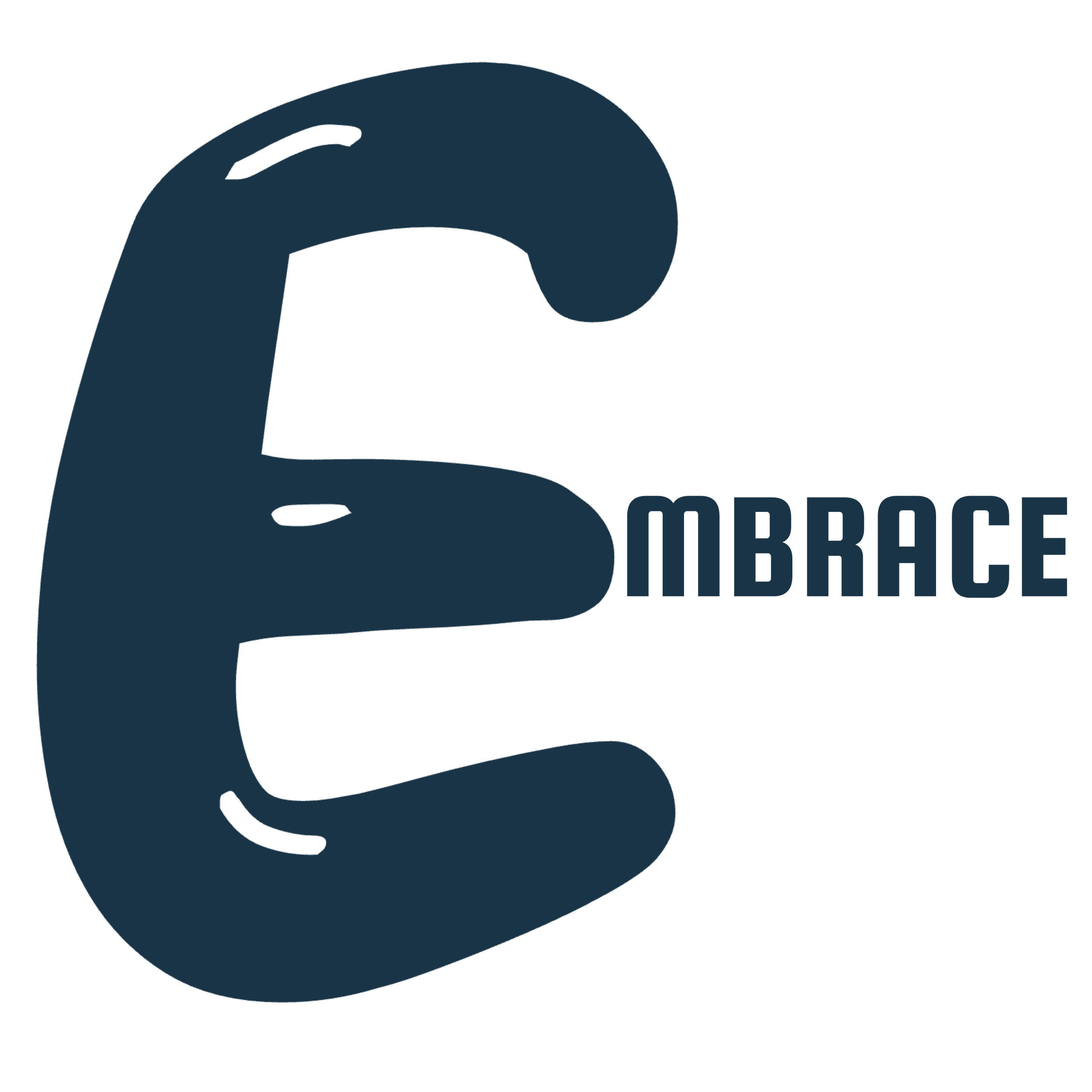 Black circular brush stroke with the word 'EMBRACE' in blue capital letters in the center.