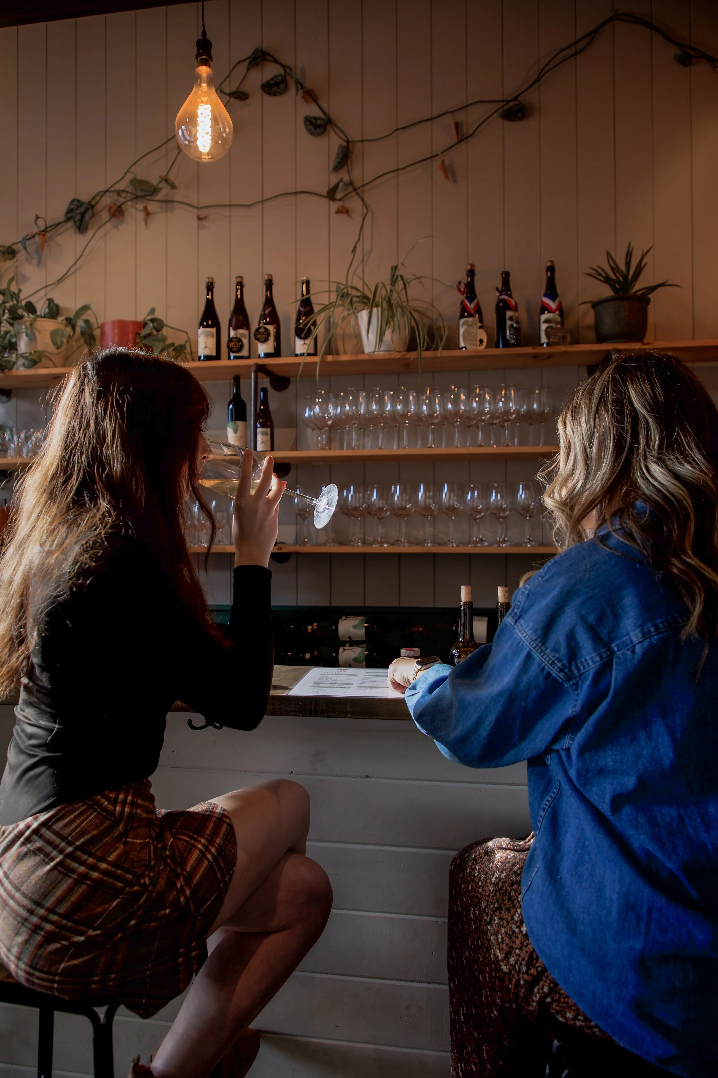 Two women are sitting at a bar counter with one woman holding a glass of wine. The bar has shelves with wine bottles, glasses, and potted plants. A warm light bulb hangs from the ceiling, and there are string lights on the wall behind.