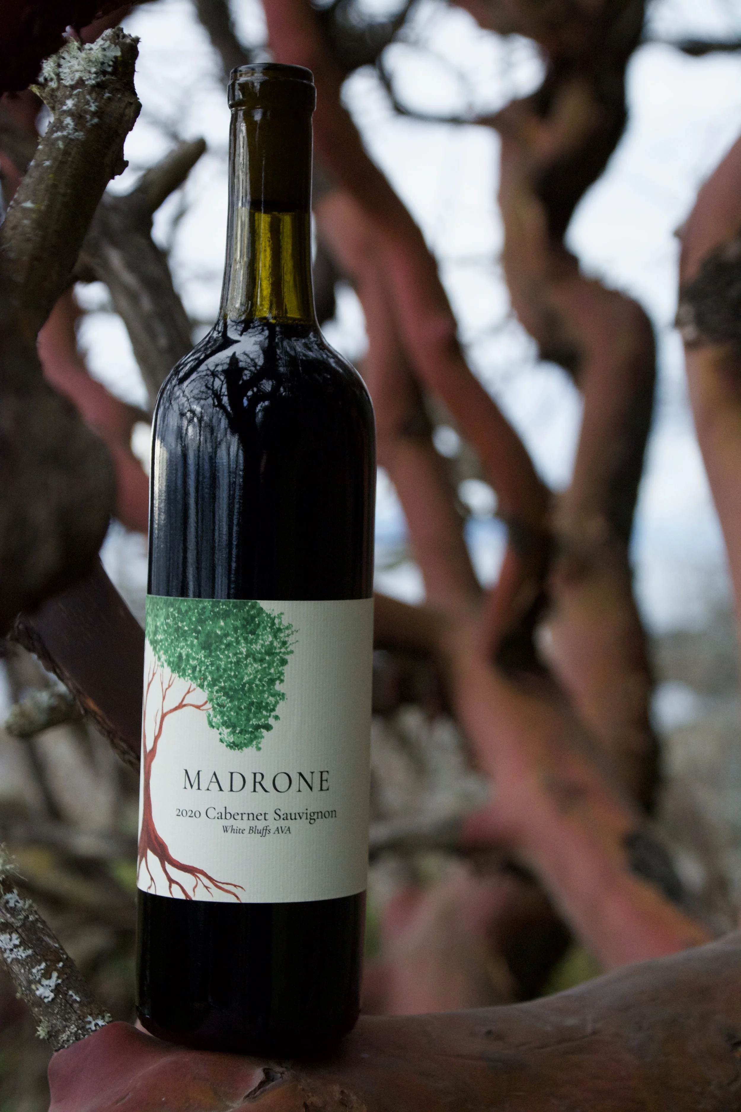 2021 Cabernet Sauvignon