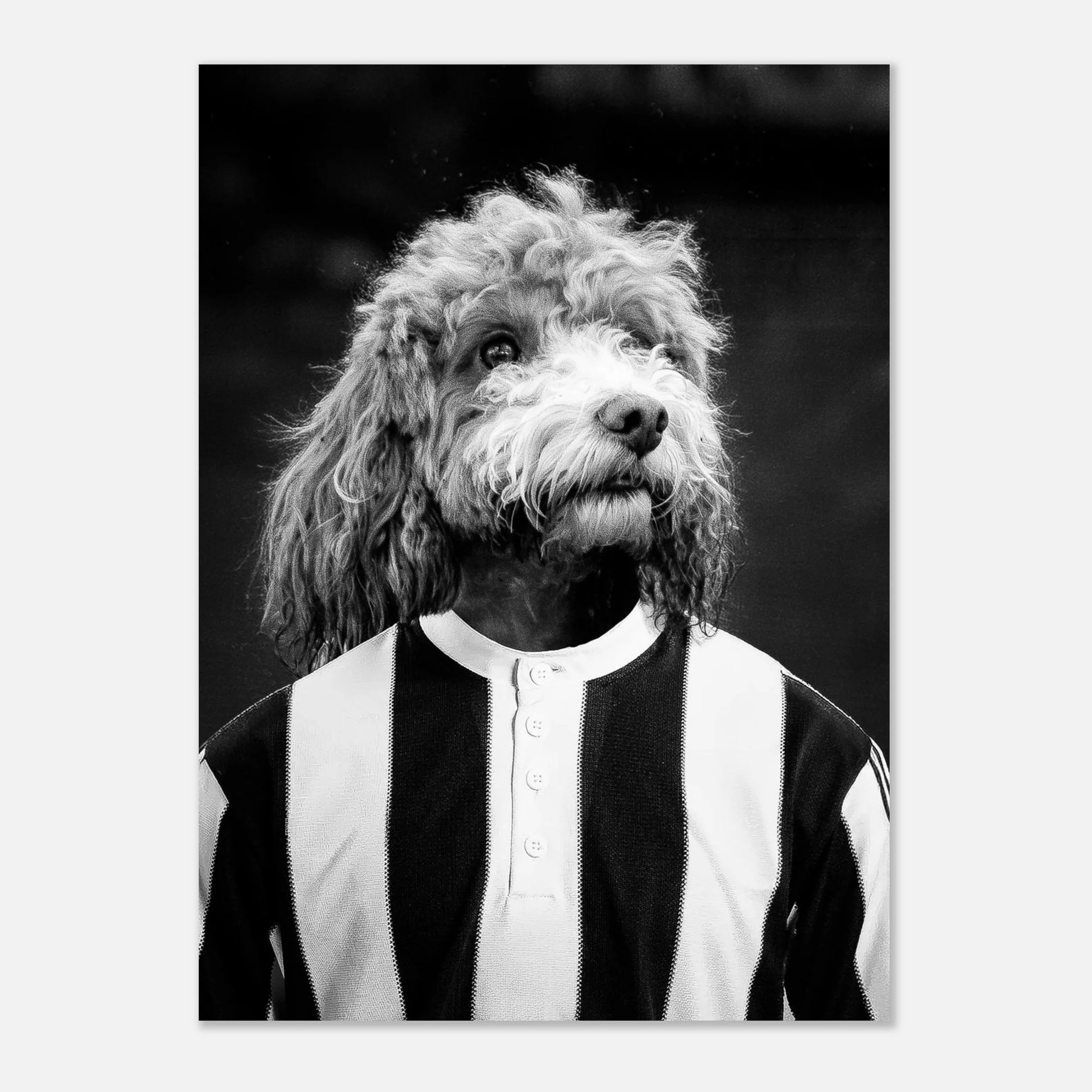 A3 Fine Art Print – Add-On