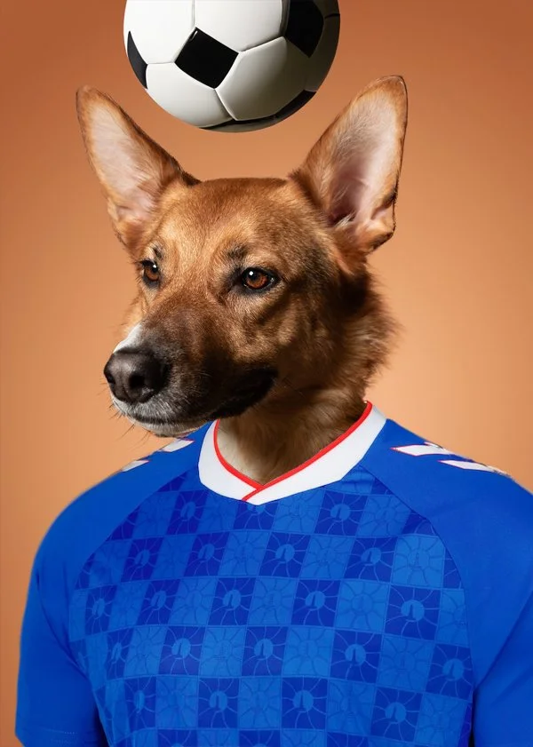 away1.jpg
