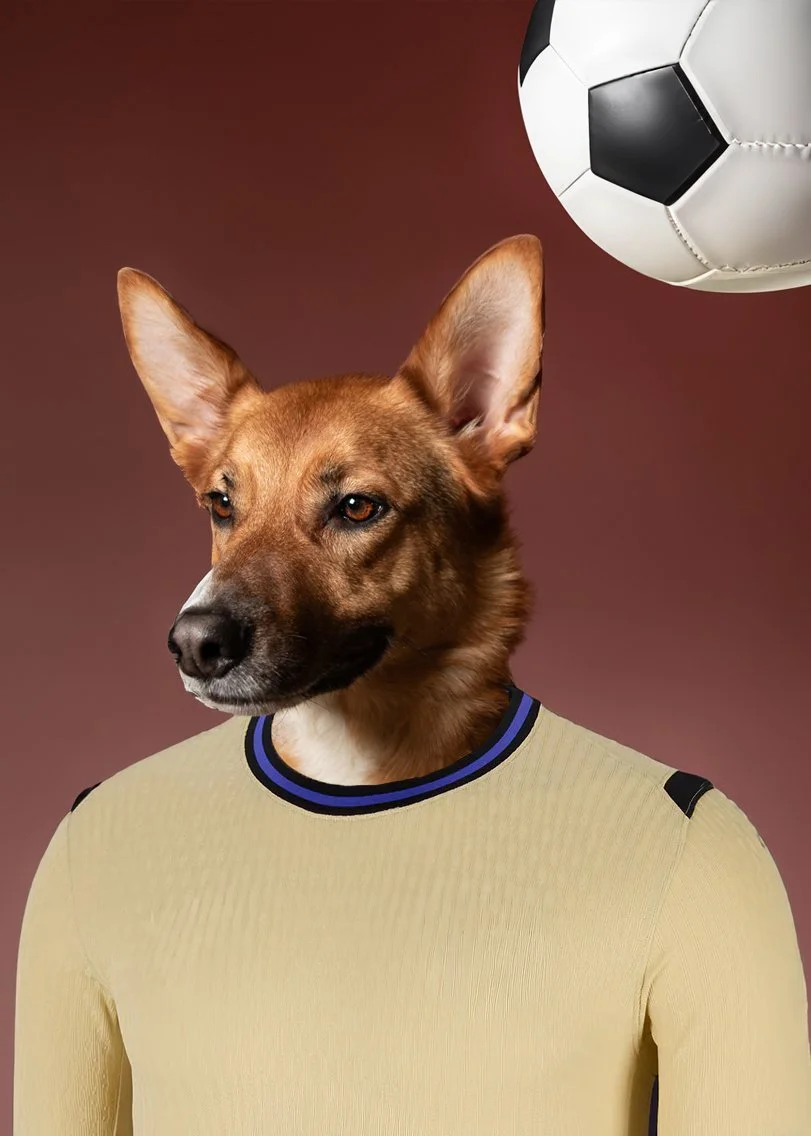 away1.jpg