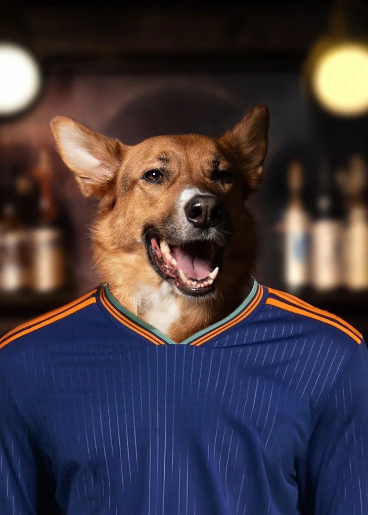 dog1.jpg