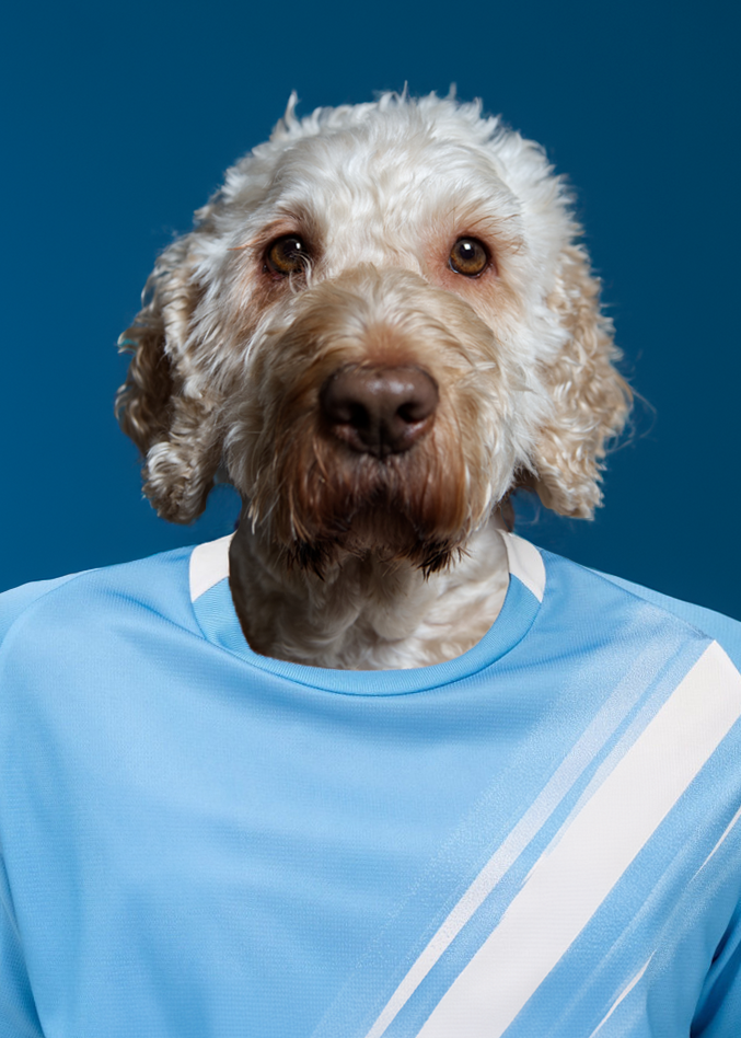 313213_puma-manchester-city-thuisshirt-2025-2026.png