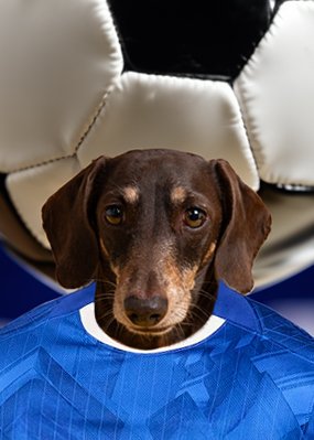 chelsea-nike-stadium-home-long-sleeve-shirt-2025-26_ss5_p-202492493+pv-1+u-zxkie3yzzdfwycljxfux+v-0buwkg1kl30vbndl84sr.jpg