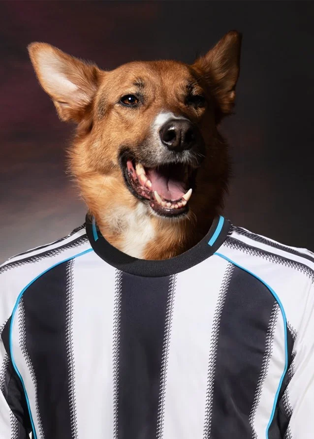 home dog.jpg