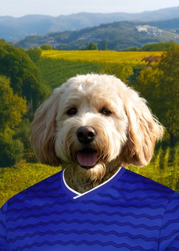 everton.jpg