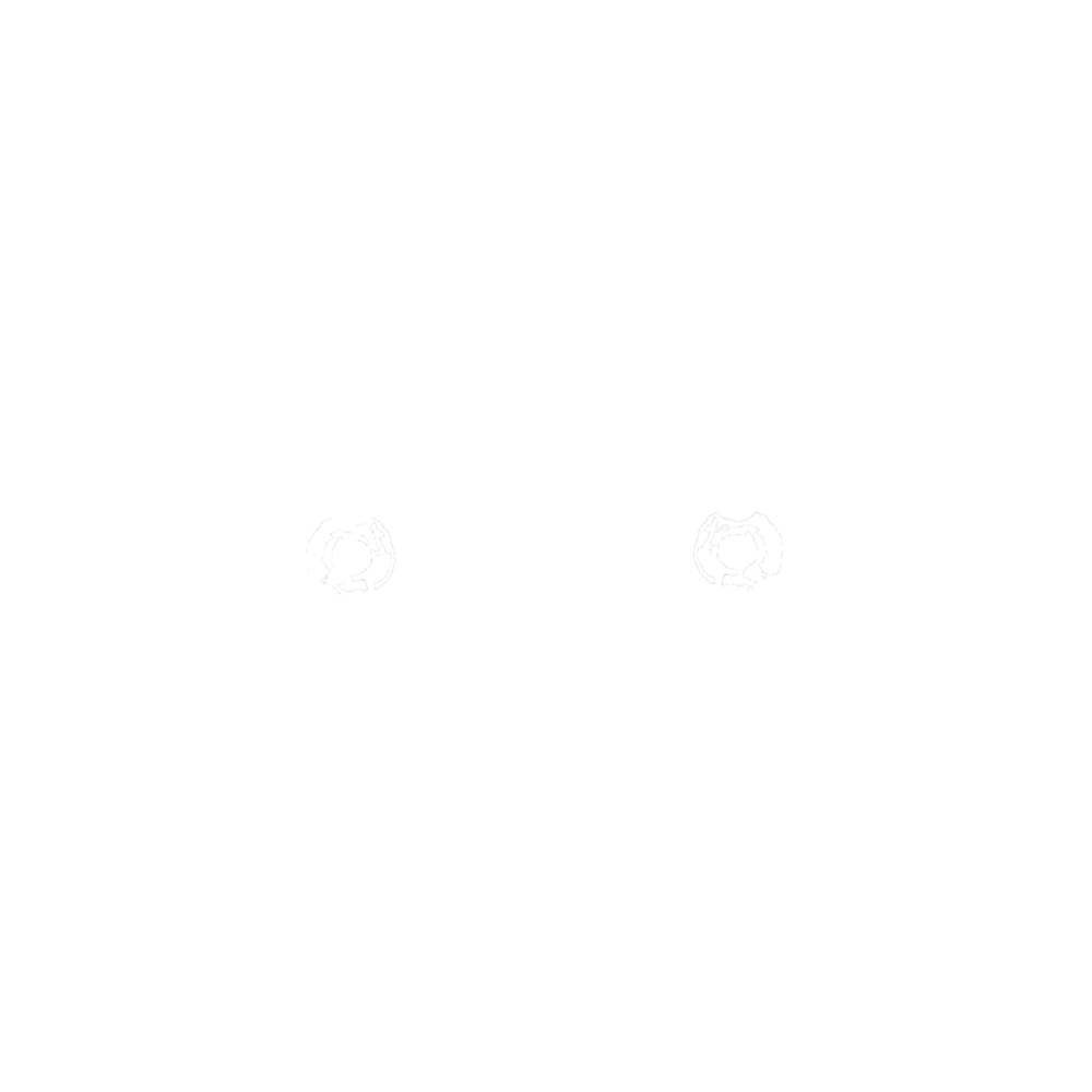 SuperfreakMedia Logo - 2017 Alt.png