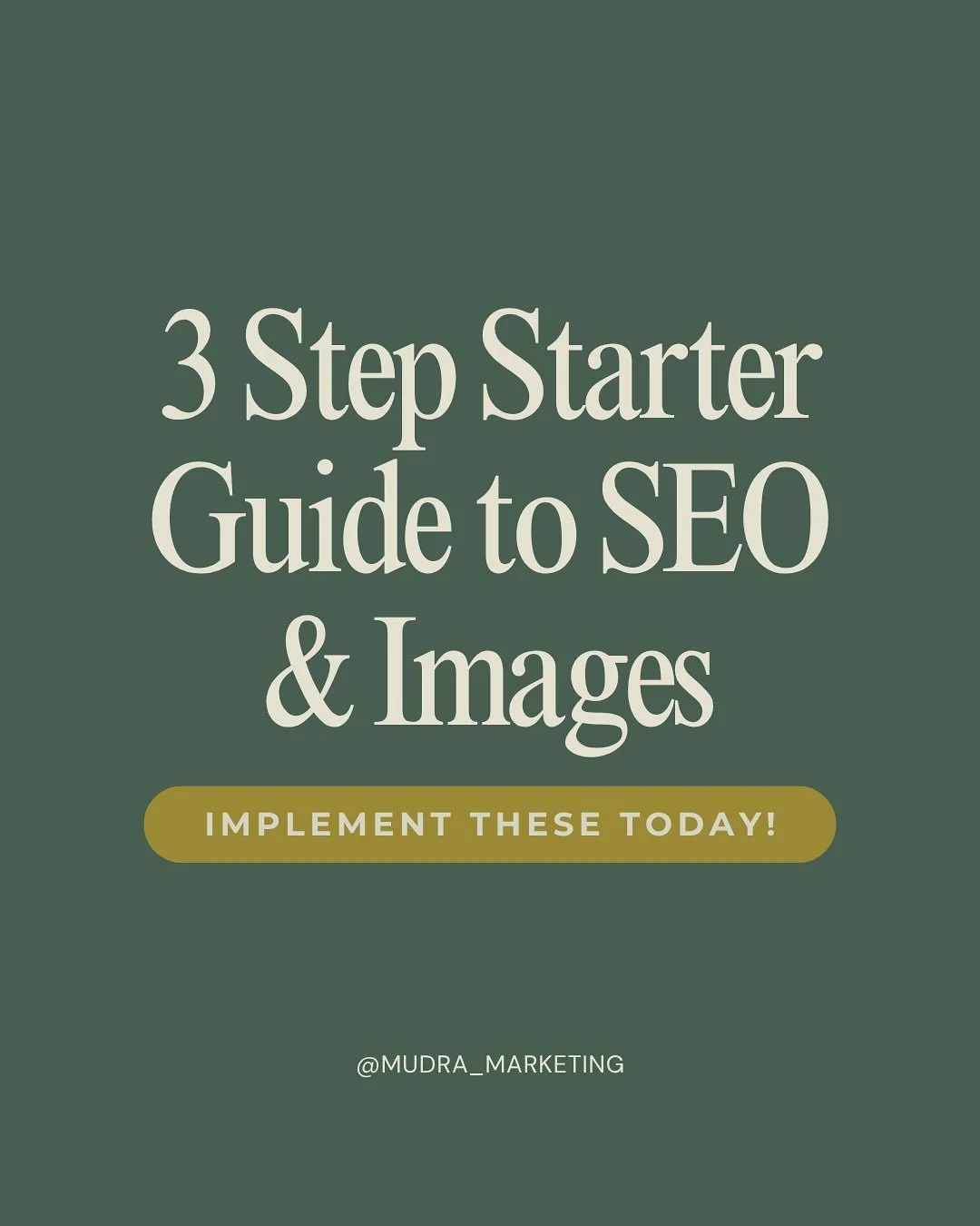 One of the most COMMON SEO mistakes! 

Most people forget about their web images, but not optimizing your images can lead to big problems. 

If you didn&rsquo;t do these 3 things to your images when you created your website, I urge you to read throug