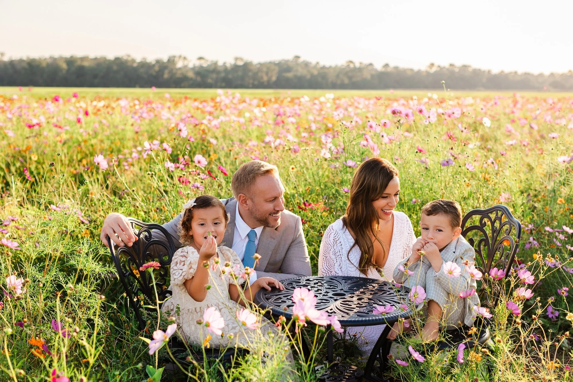 family photos in there flower field near st.augustine fl