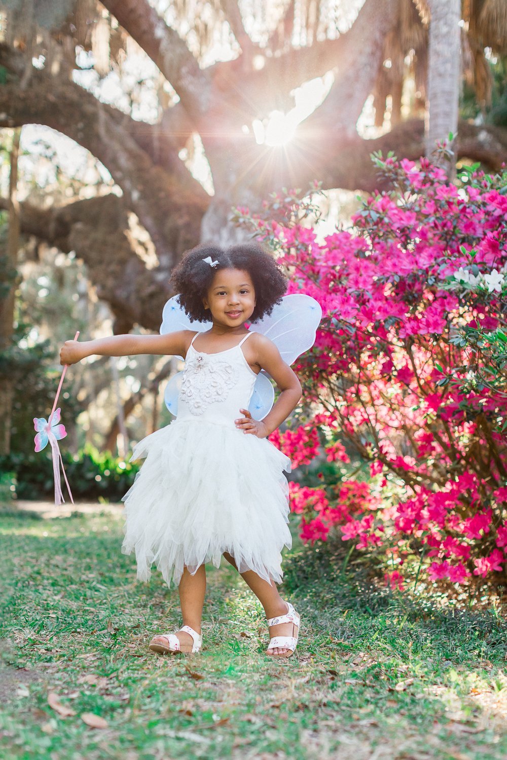 spring sunset fairy-themed pictures in Washington oaks gardens
