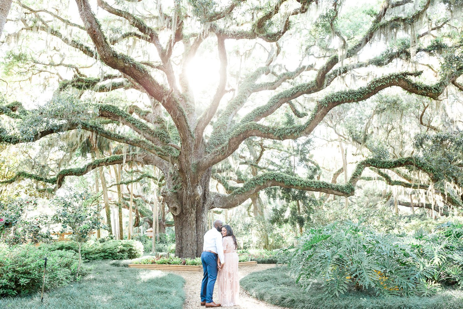 sunset picture ideas in Washington oaks gardens