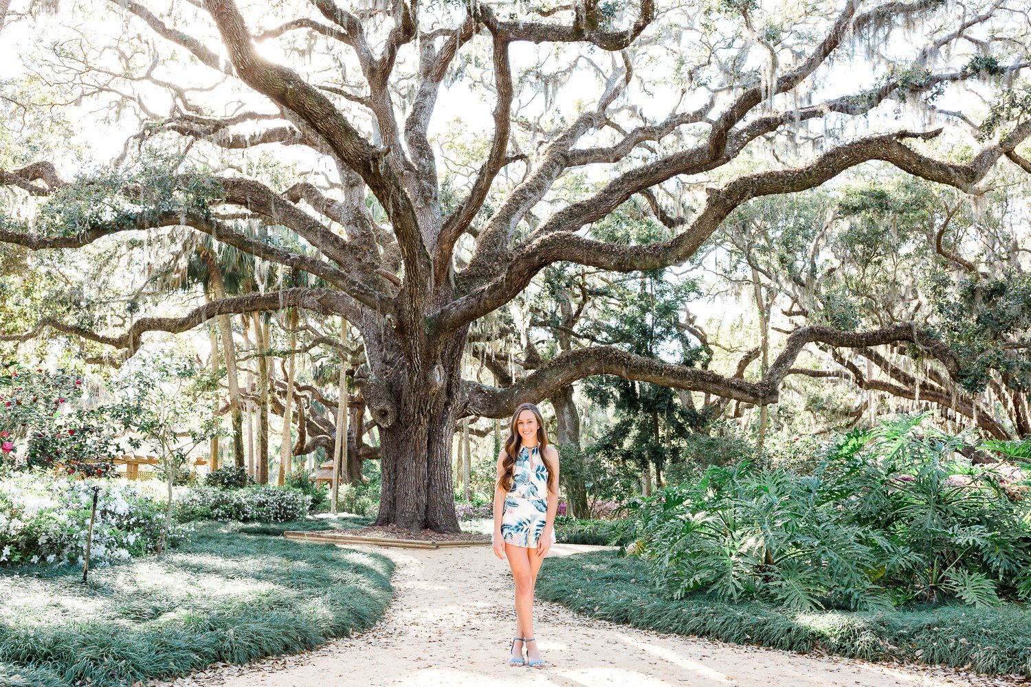 senior pictures with big moss tree in Washington oaks gardens