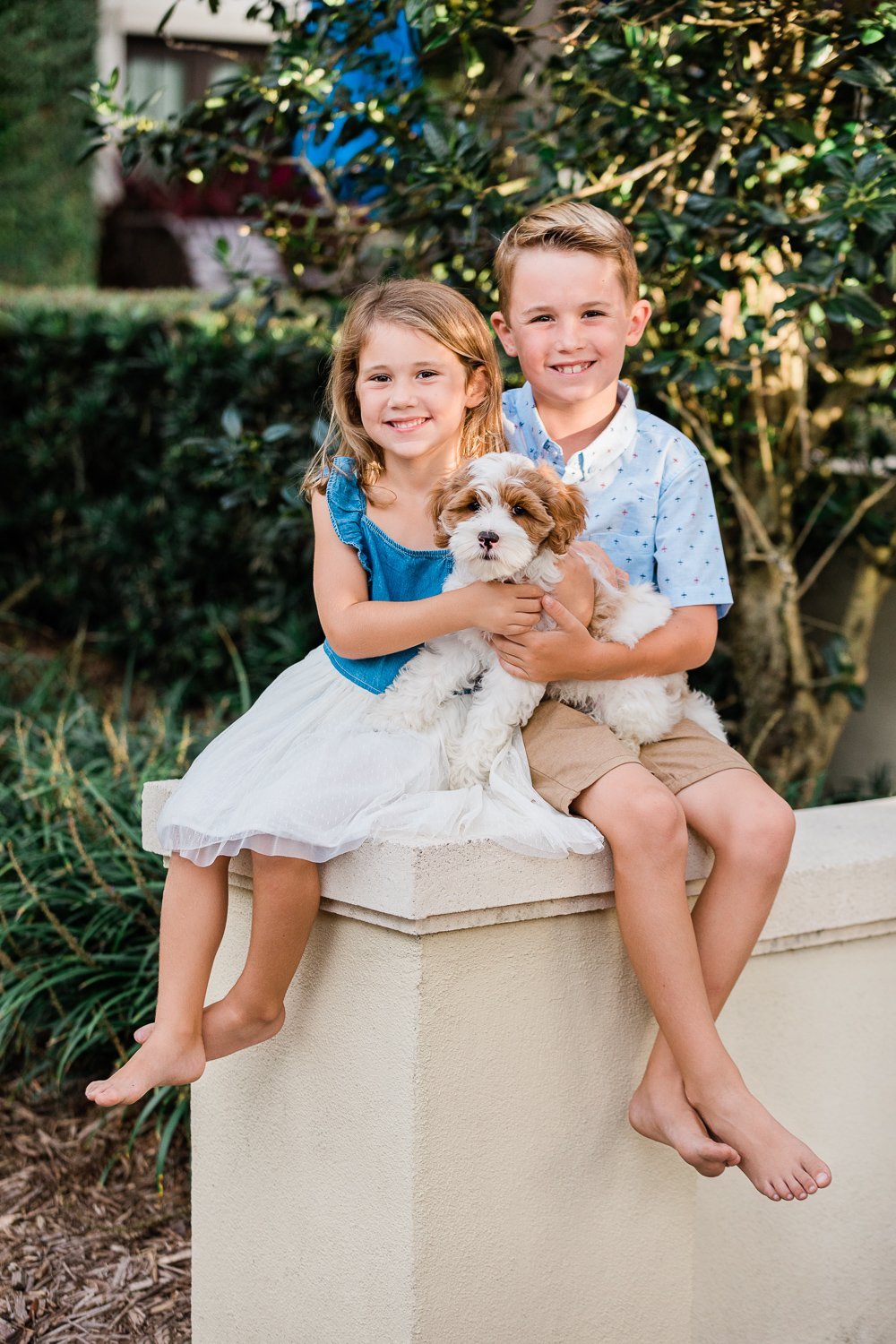 sibling pictures with a dog in Nocatee Crosswater Hall