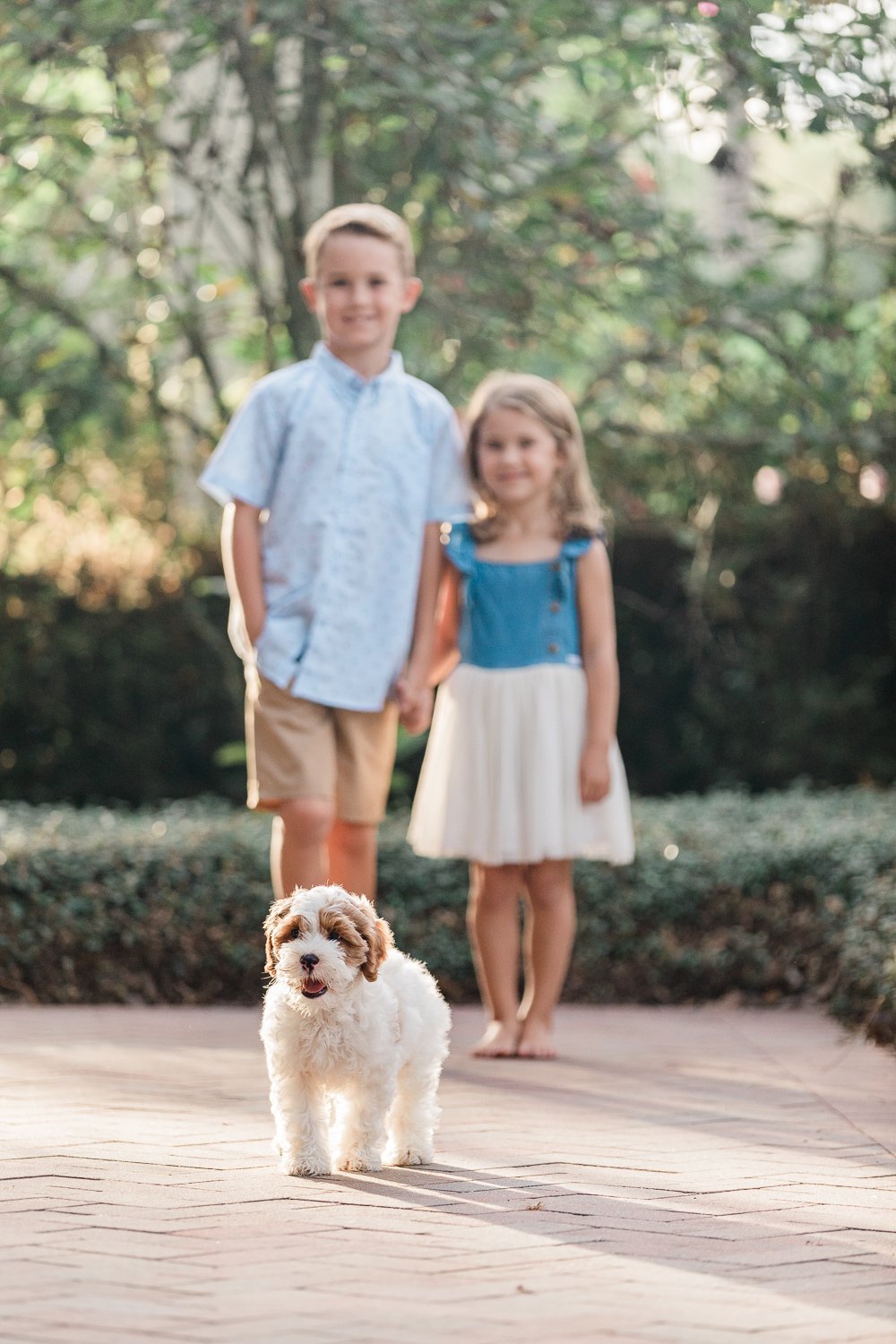 picture ideas with a pet in Nocatee Crosswater Hall