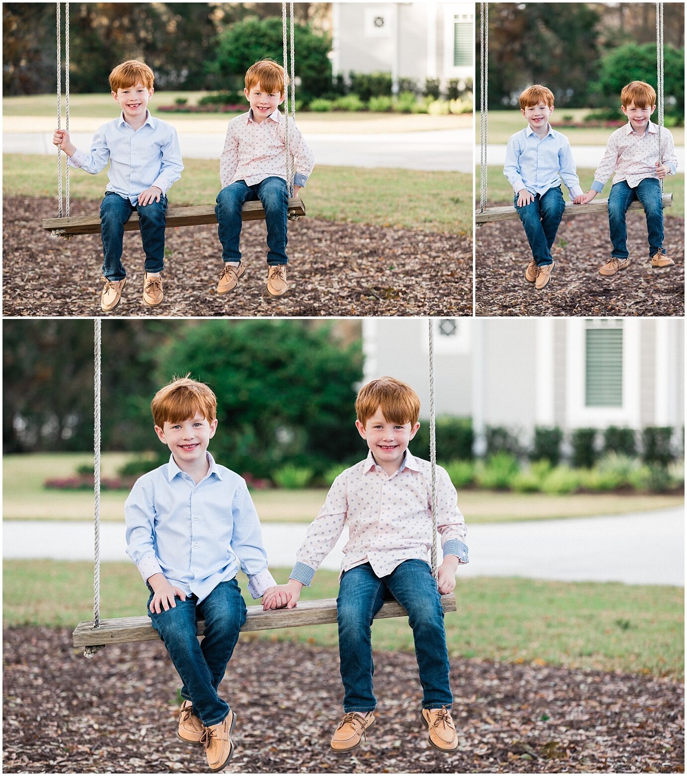 adorable twin boys on a tree wing during the photoshoot